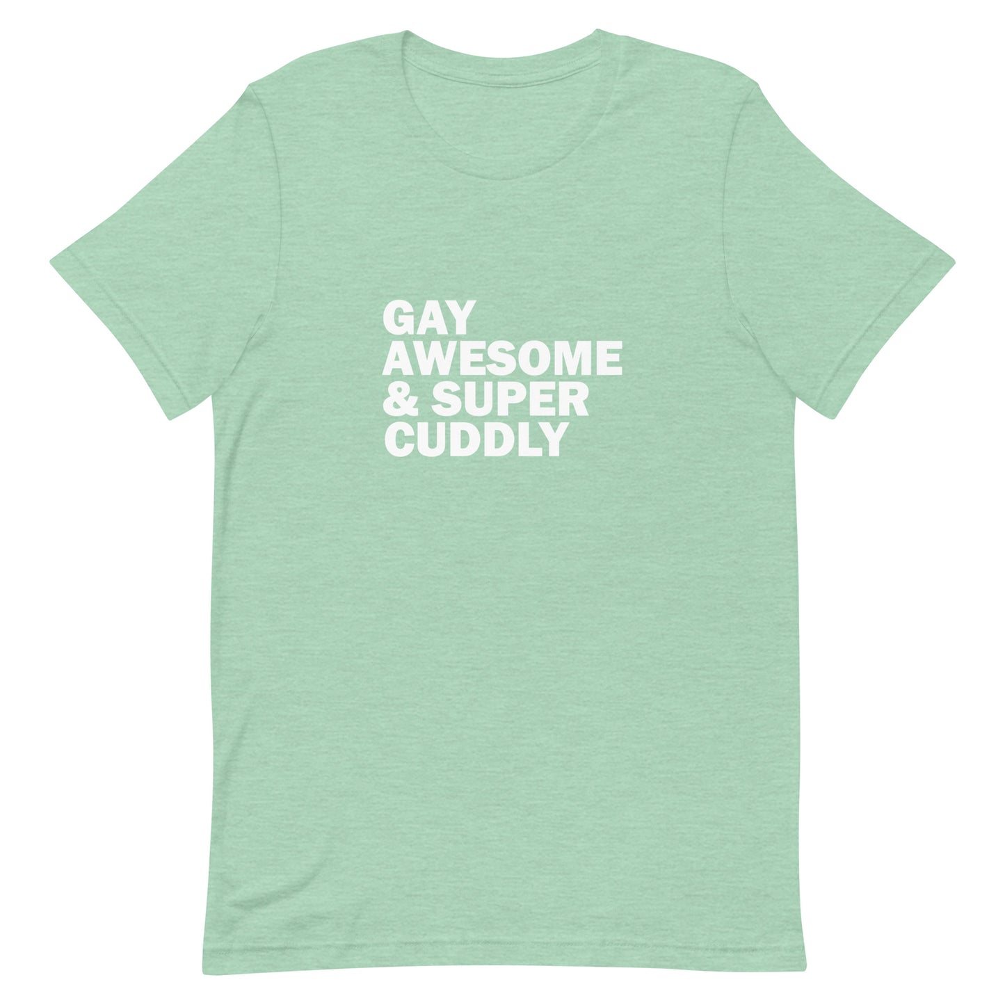 Gay Awesome & Super Cuddly T-Shirt - Heather Prism Mint