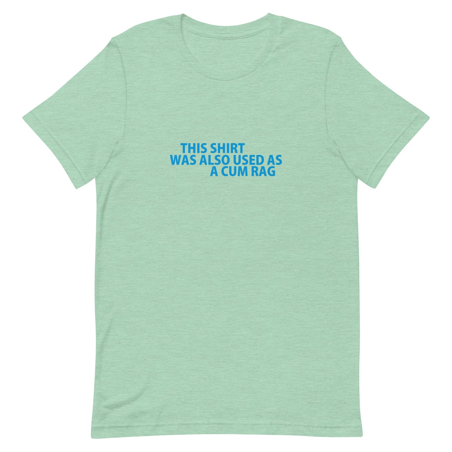 This Shirt Was Also Used As A CUM RAG T Shirt - Heather Prism Mint