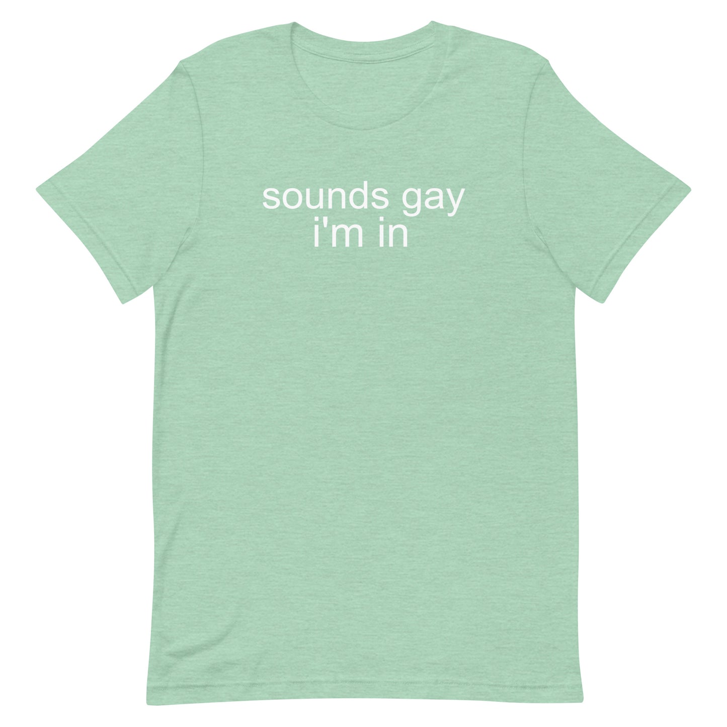 Sounds Gay I'm In T Shirt - Heather Prism Mint