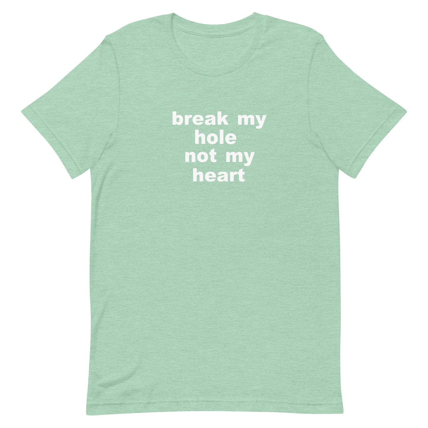 Break My Hole T Shirt - Heather Prism Mint
