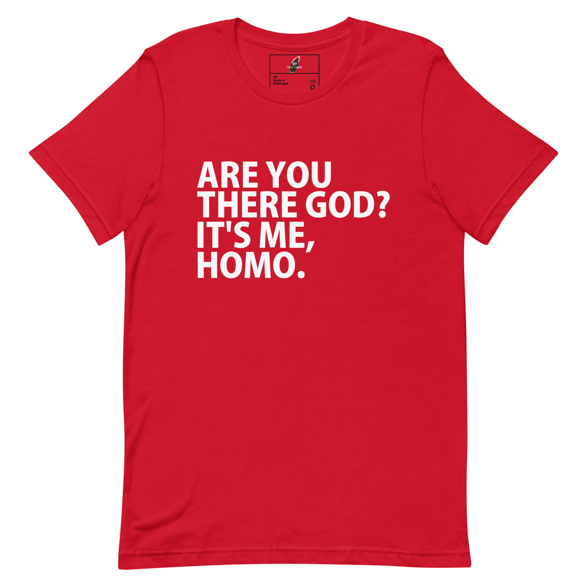 A red short-sleeve crewneck t-shirt with bold white text on the front reading 'ARE YOU THERE GOD? IT'S ME, HOMO.' shown on a plain white background.