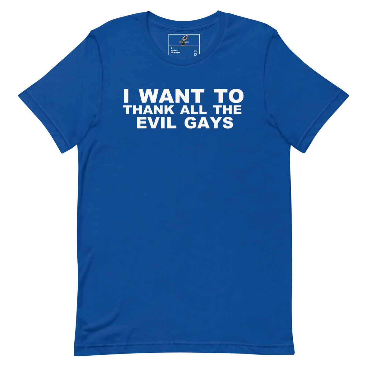 A royal blue short-sleeve t-shirt with the slogan 'I WANT TO THANK ALL THE EVIL GAYS' printed in bold white capital letters across the chest, displayed on a clean white background.