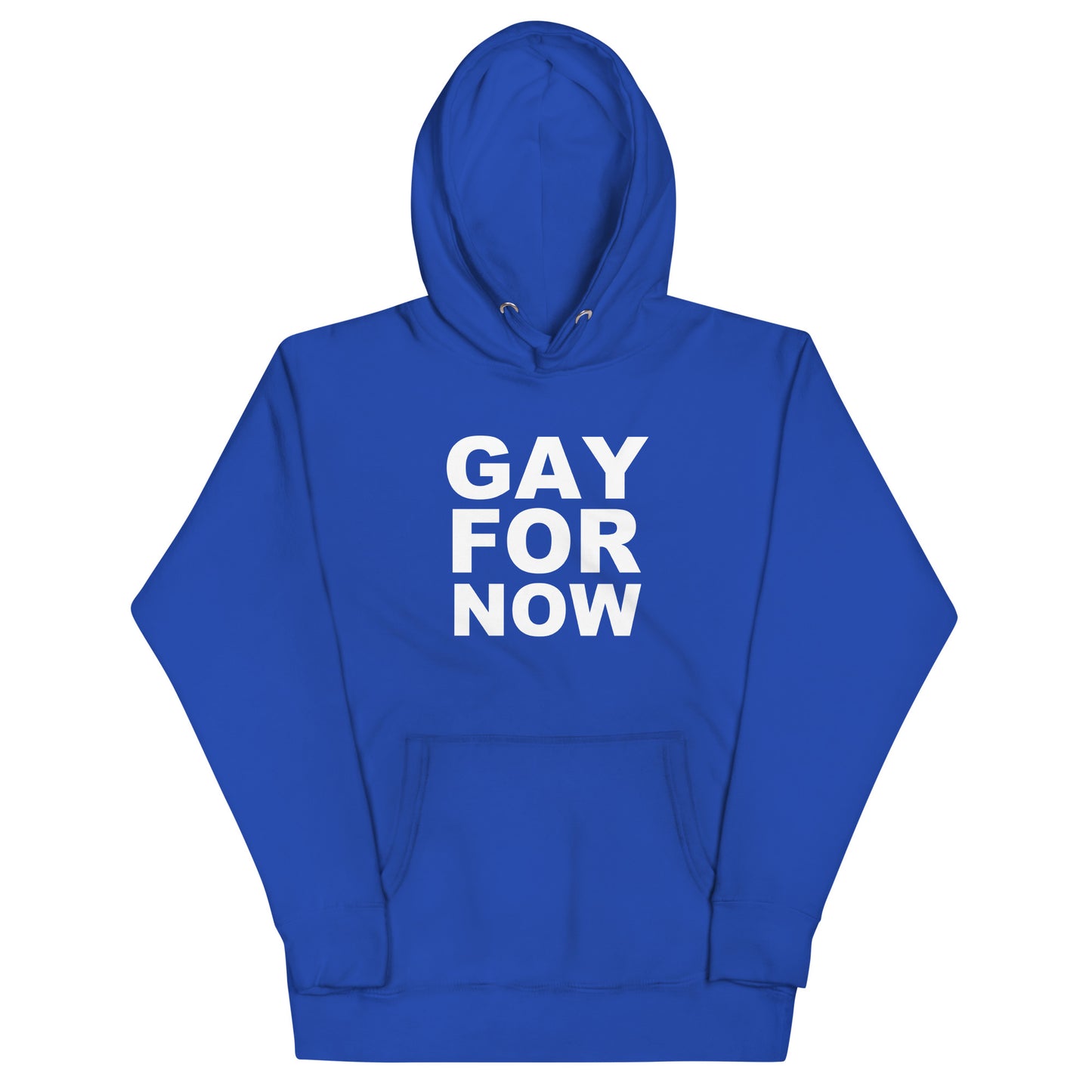 Gay For Now Hoodie - Team Royal