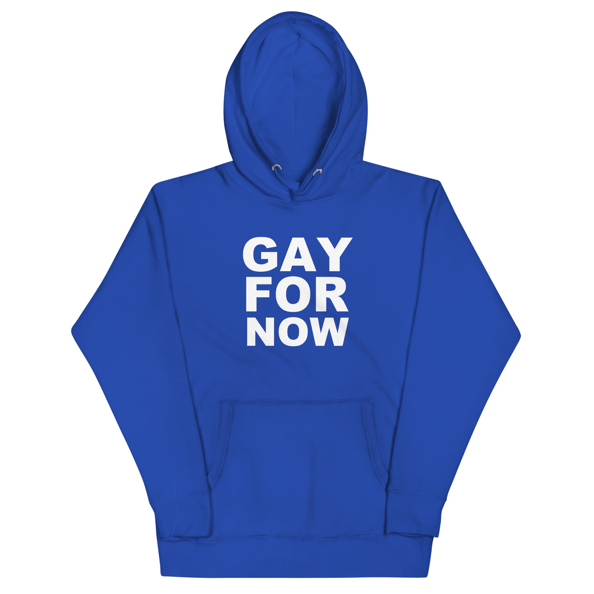 Gay For Now Hoodie - Team Royal