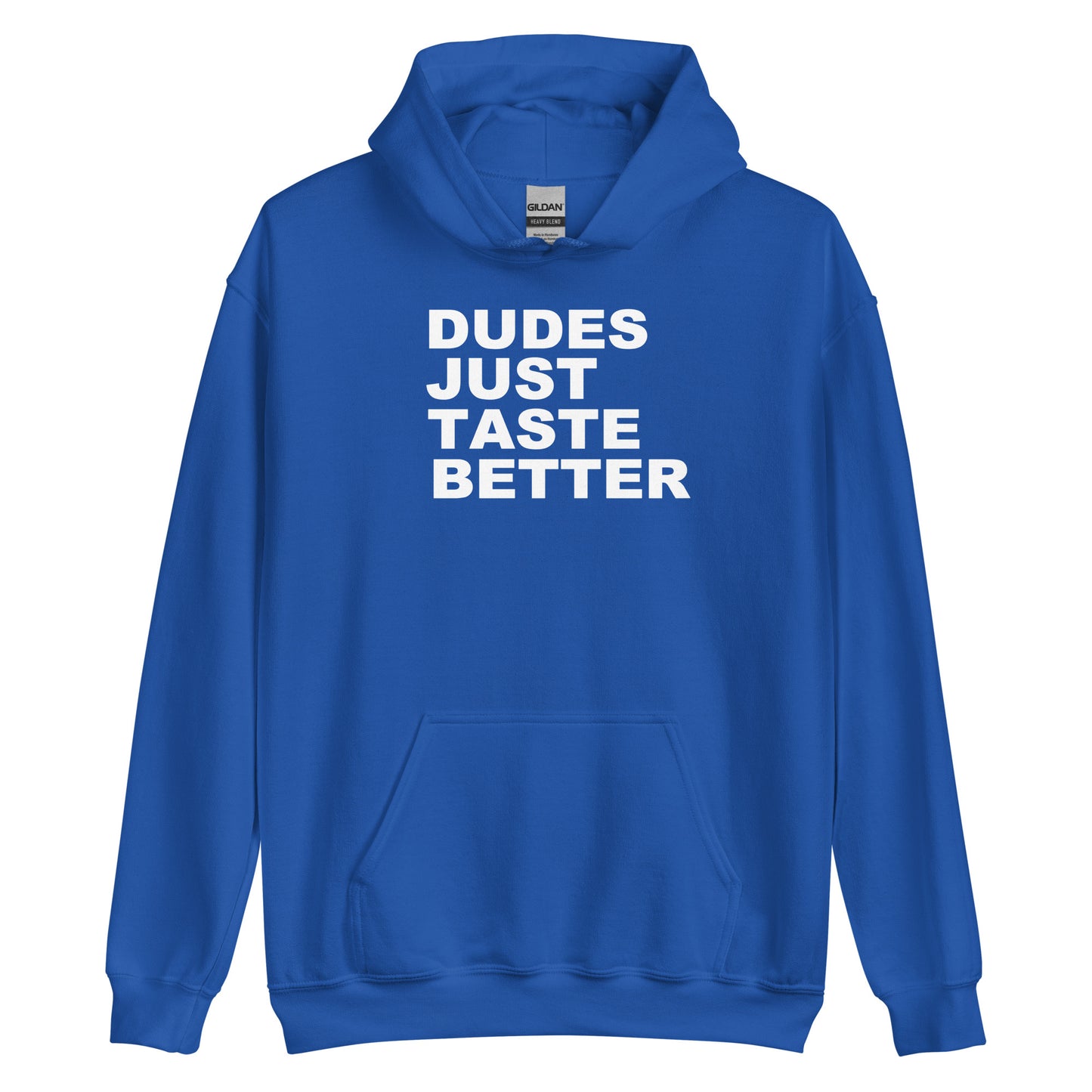 A royal blue pullover hoodie with the phrase 'DUDES JUST TASTE BETTER' printed in bold white capital letters across the chest, displayed on a clean white background.