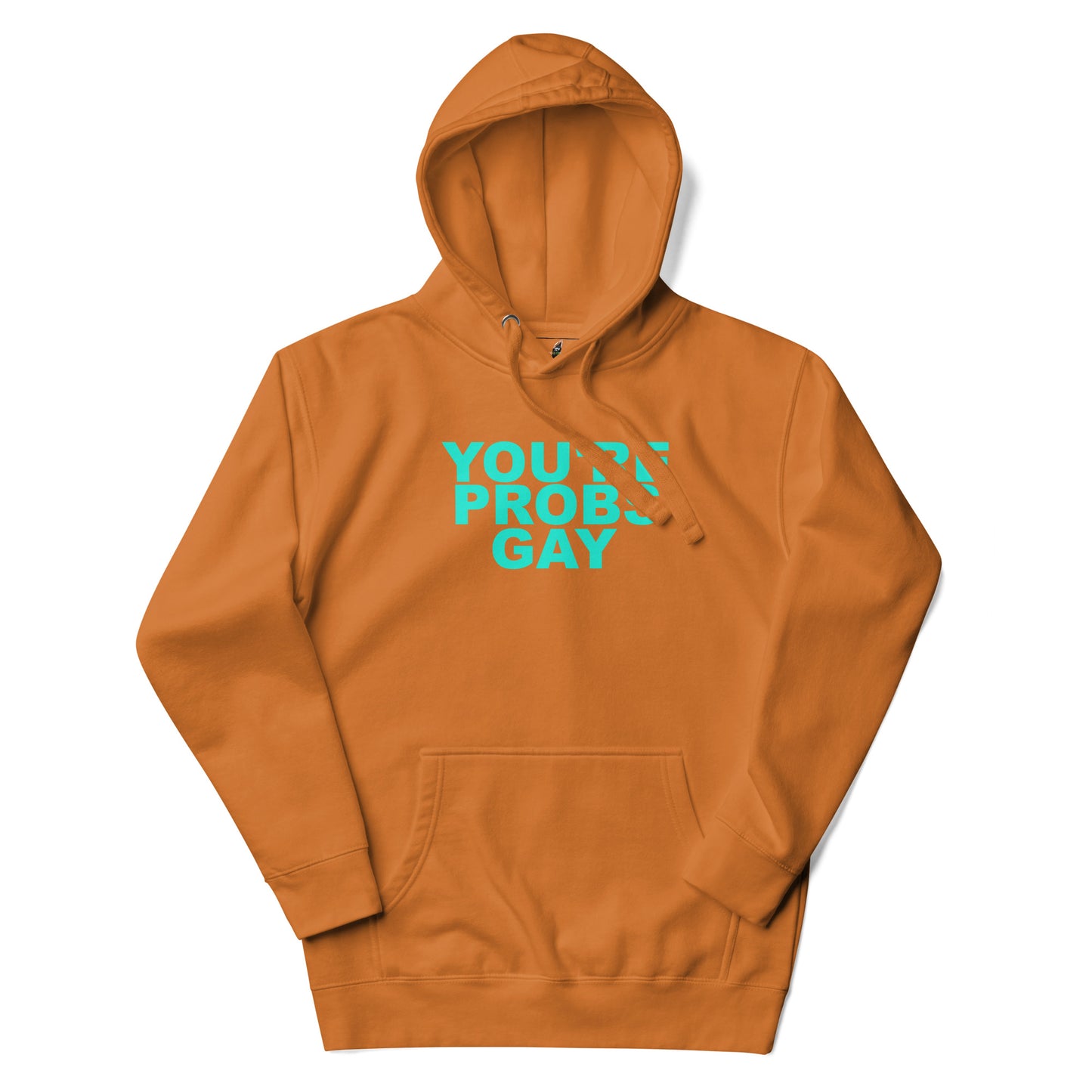 You're Probs Gay Unisex Hoodie - Abode