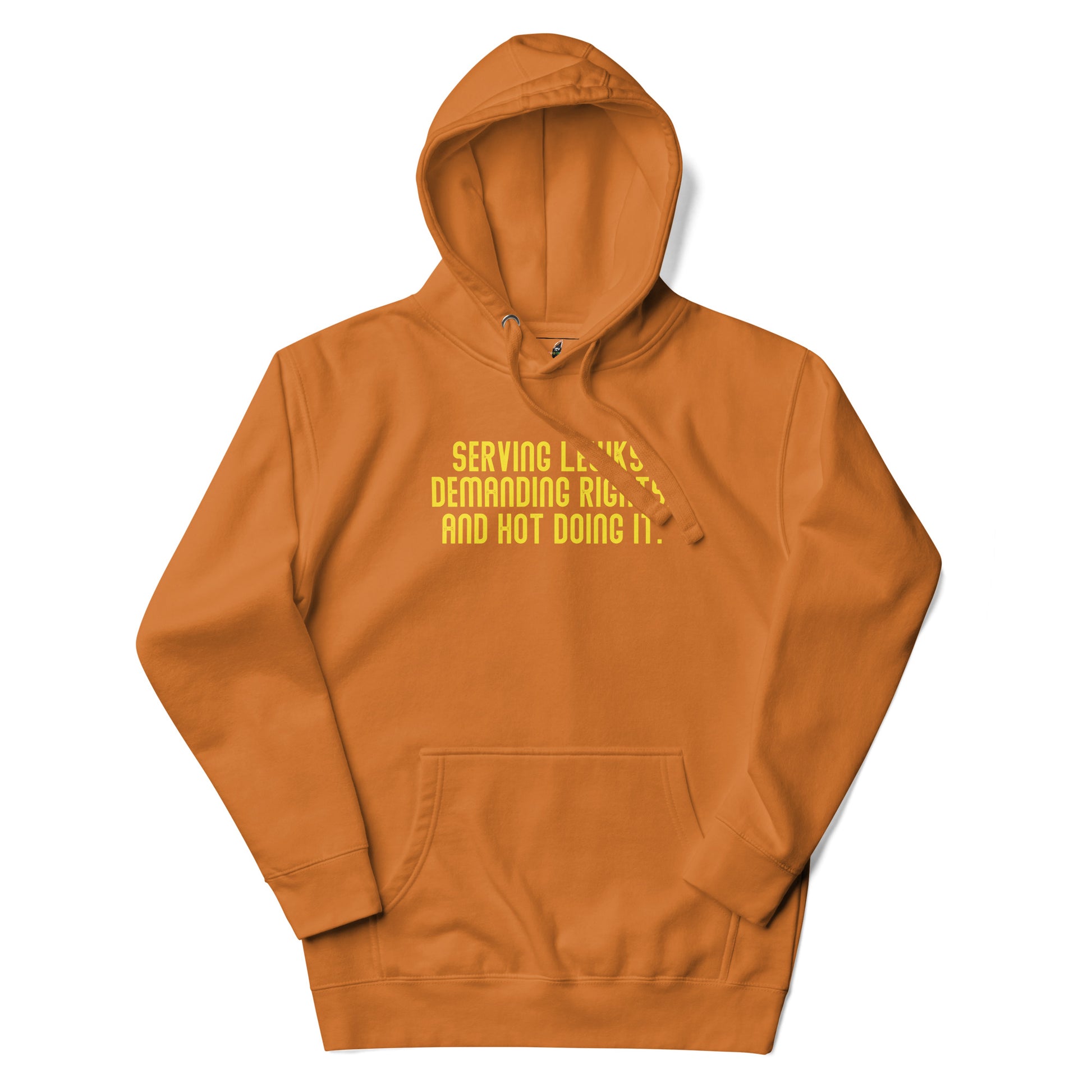 Serving Lewks. Demanding Rights. And Hot Doing It. Unisex Hoodie - Abobe