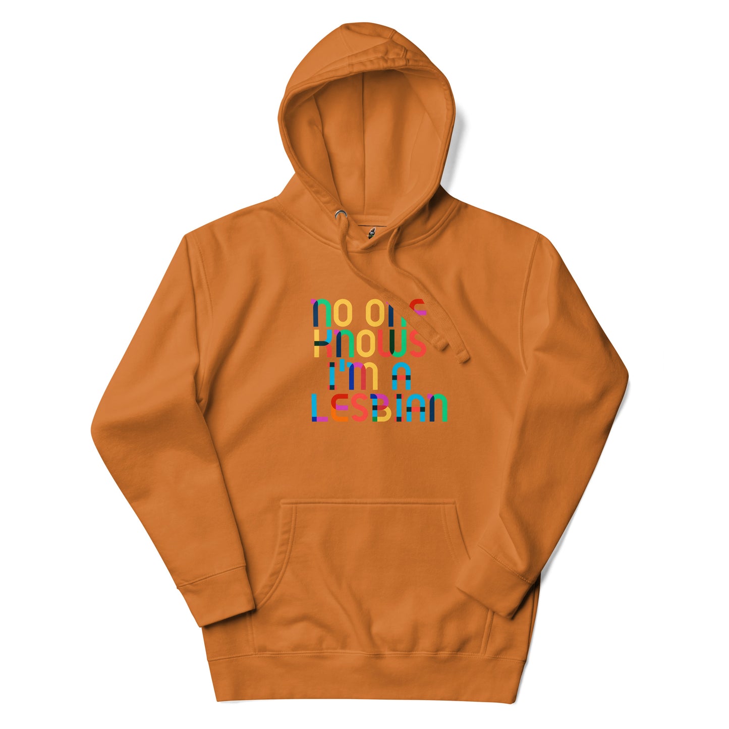 No One Knows I'm A Lesbian Rainbow Unisex Hoodie