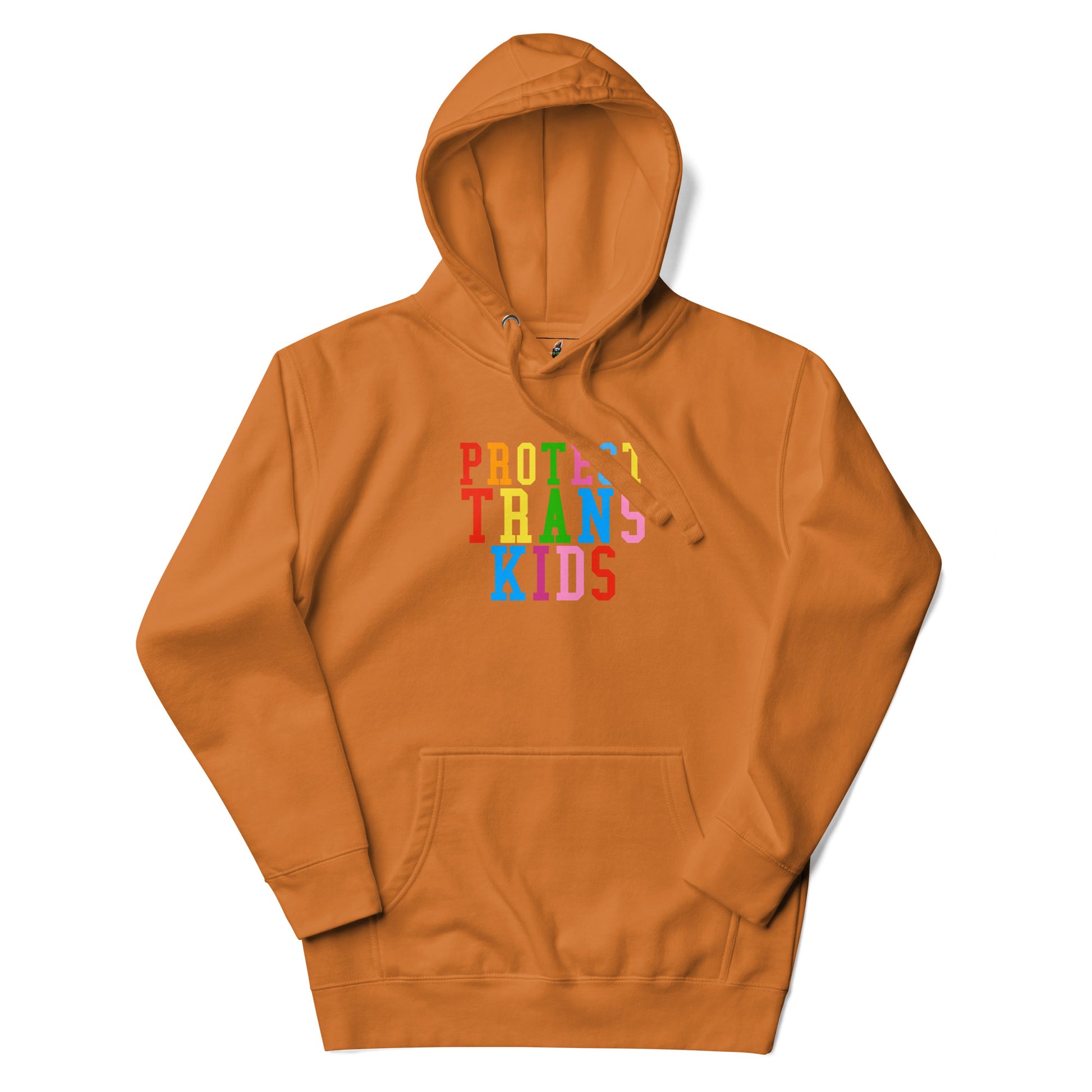 Protect Trans Kids Unisex Hoodie