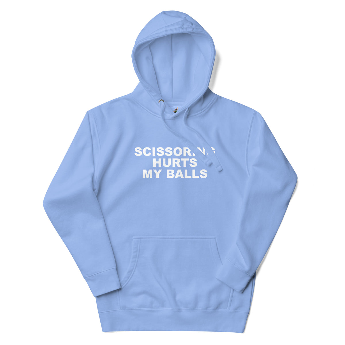 Light blue hoodie with a logo on the chest against a white background