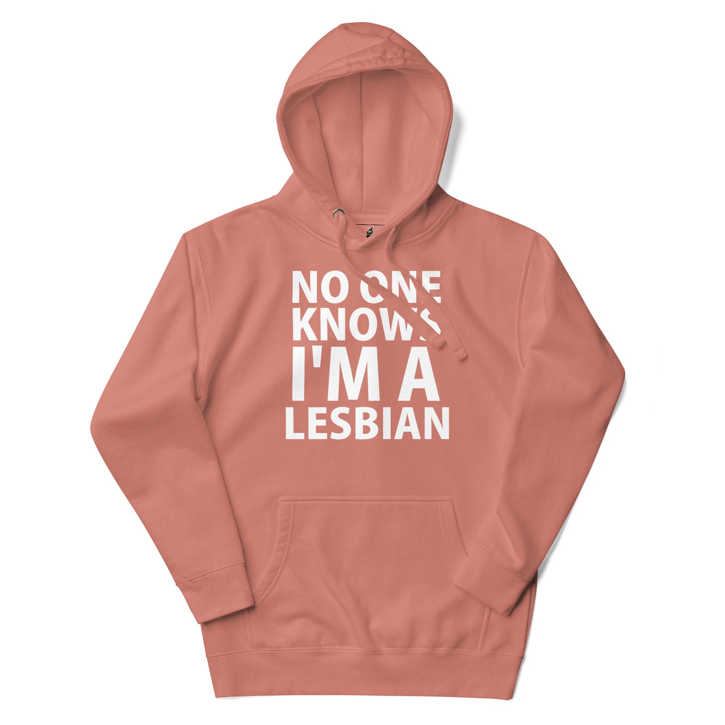 A dusty rose pink pullover hoodie with the text 'NO ONE KNOWS I'M A LESBIAN' printed in bold white capital letters on the front, displayed on a clean white background.