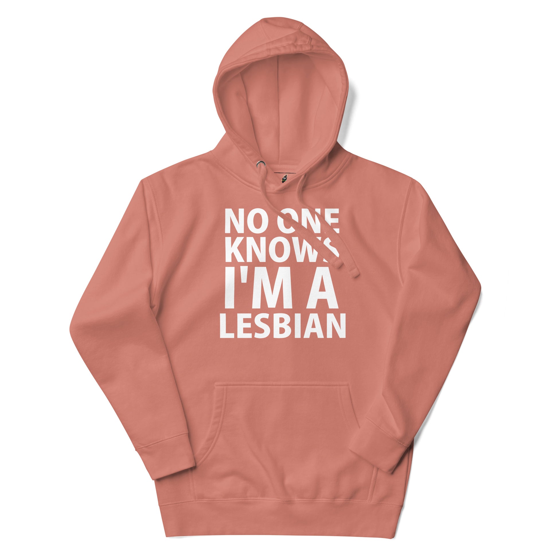 A dusty rose pink pullover hoodie with the text 'NO ONE KNOWS I'M A LESBIAN' printed in bold white capital letters on the front, displayed on a clean white background.