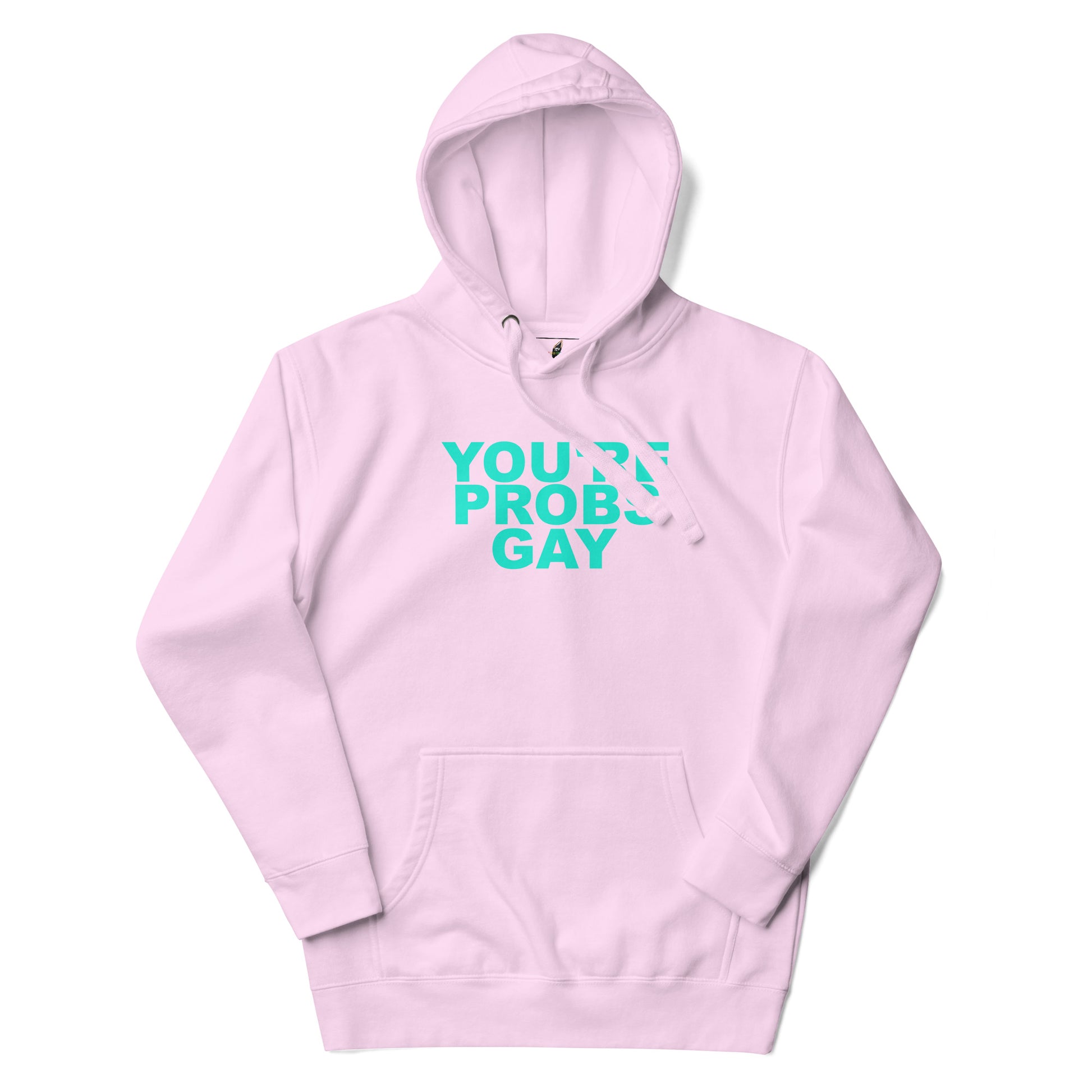 You're Probs Gay Unisex Hoodie