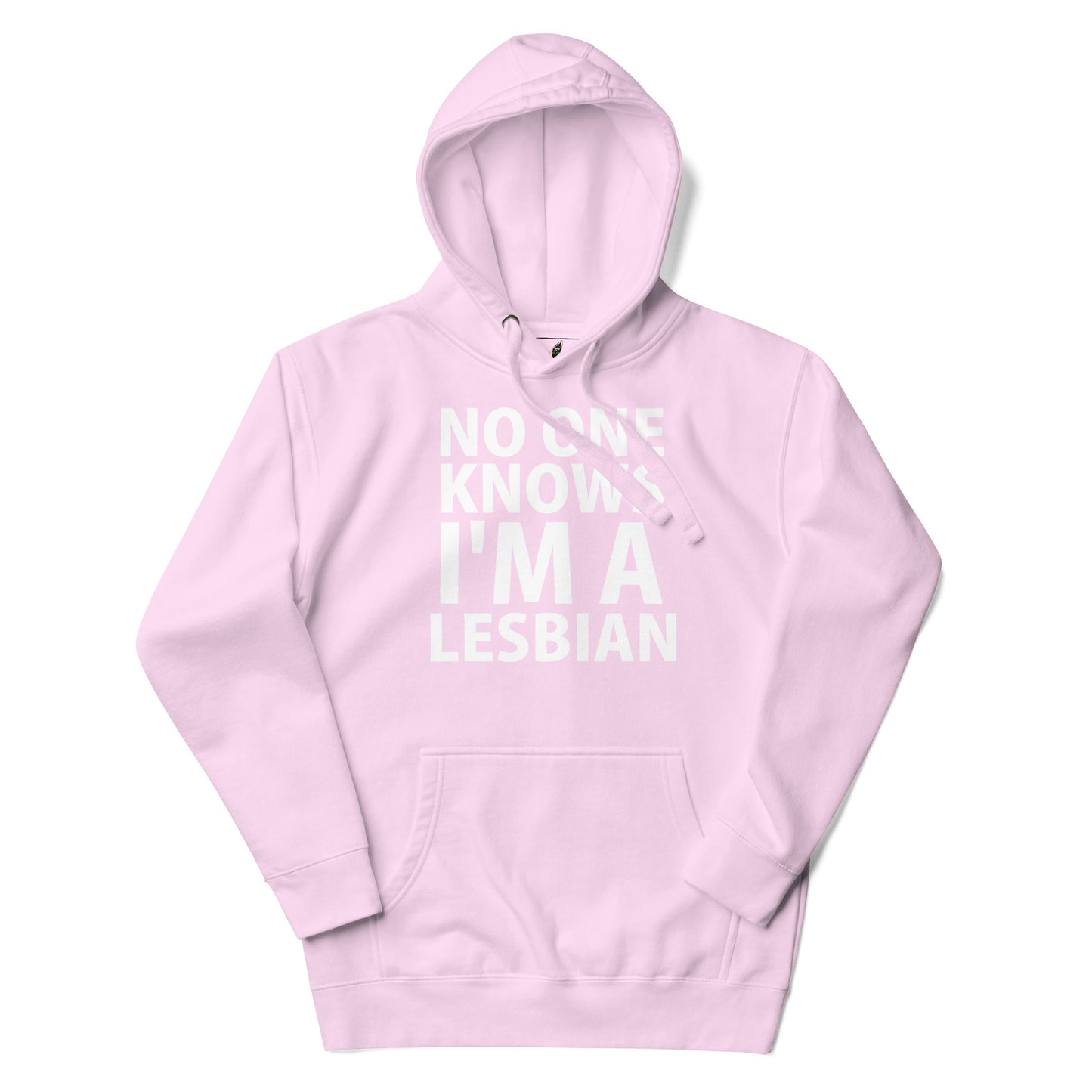 A light pink pullover hoodie with a white graphic text print reading 'HE/HIM/HOLE' on the chest, displayed against a clean white background.