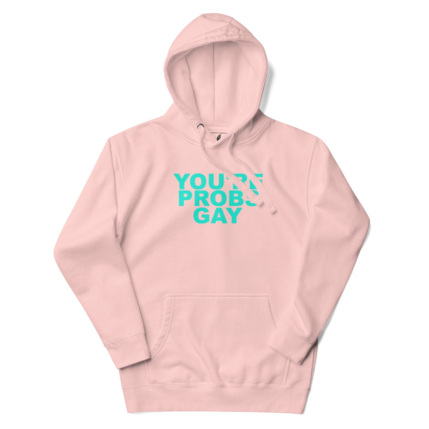 You're Probs Gay Unisex Hoodie