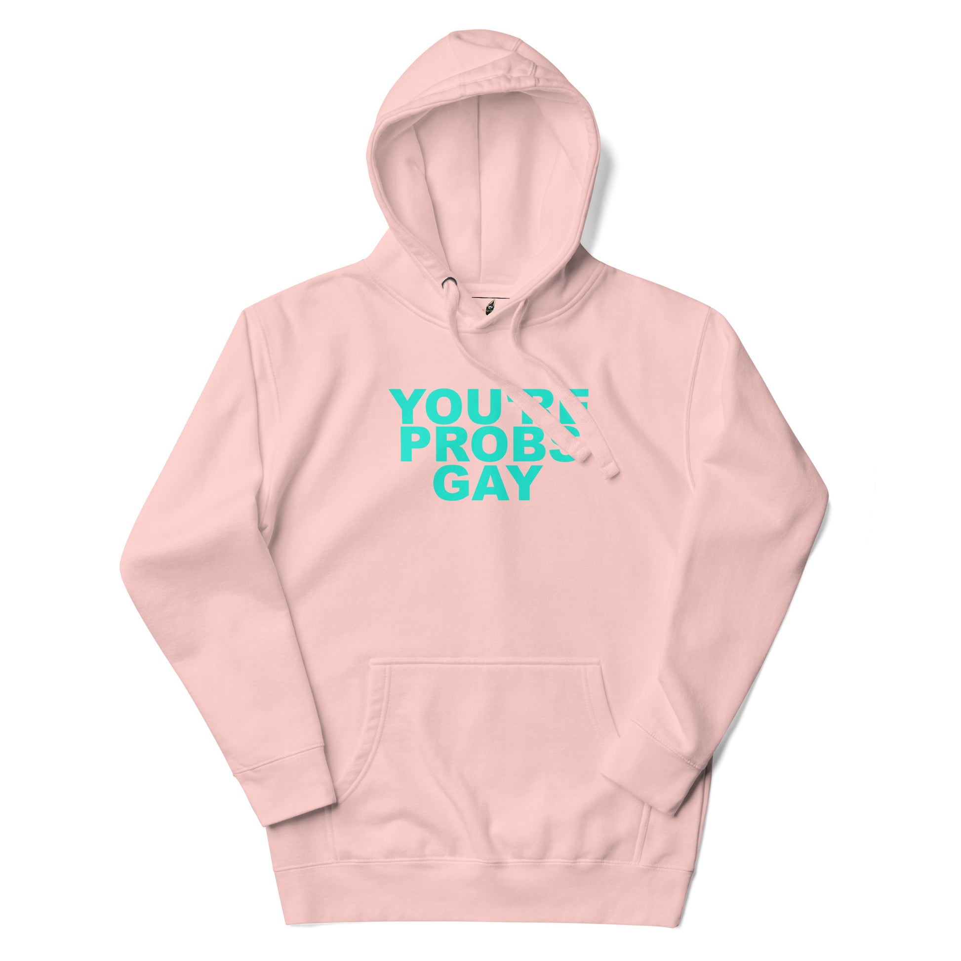 You're Probs Gay Unisex Hoodie