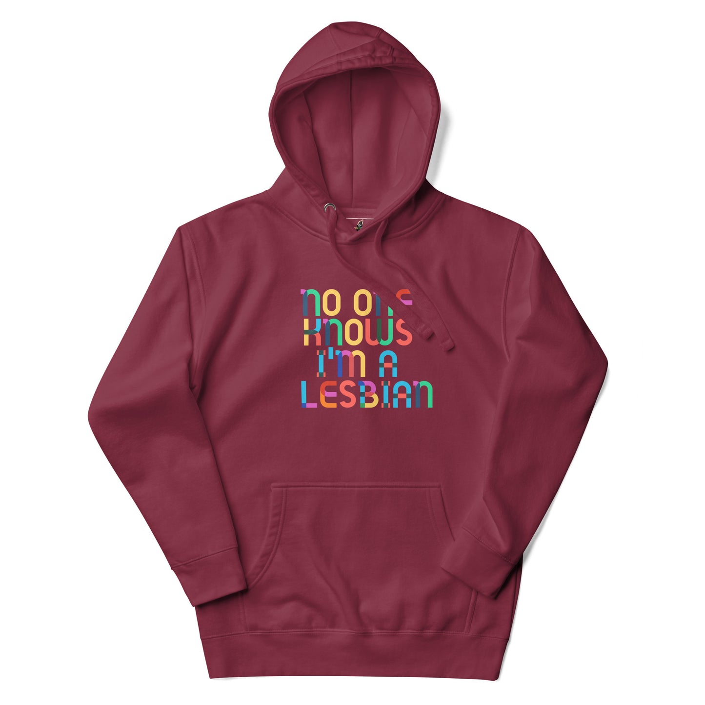 No One Knows I'm A Lesbian Rainbow Unisex Hoodie