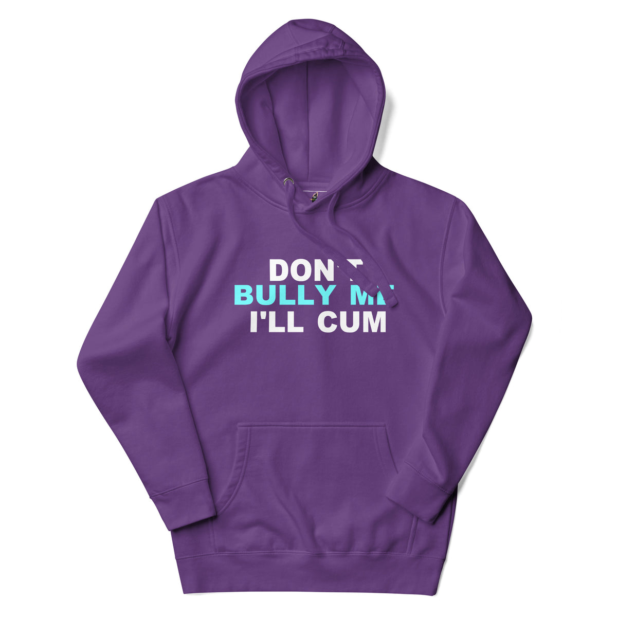 A purple pullover hoodie with a graphic text print on the chest reading 'DON T BULLY ME I'LL CUM' in white and light blue, displayed on a clean white background.