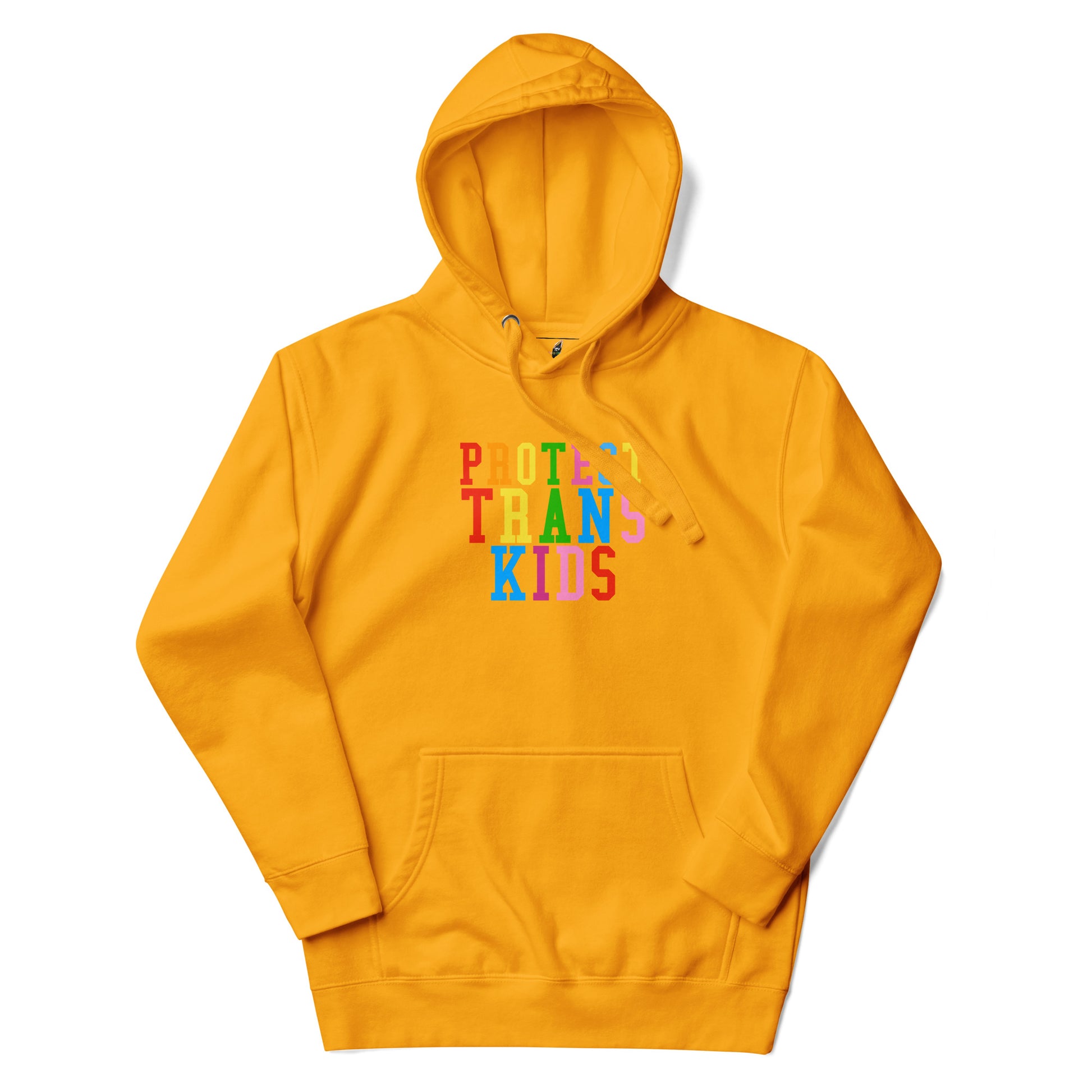 Protect Trans Kids Unisex Hoodie