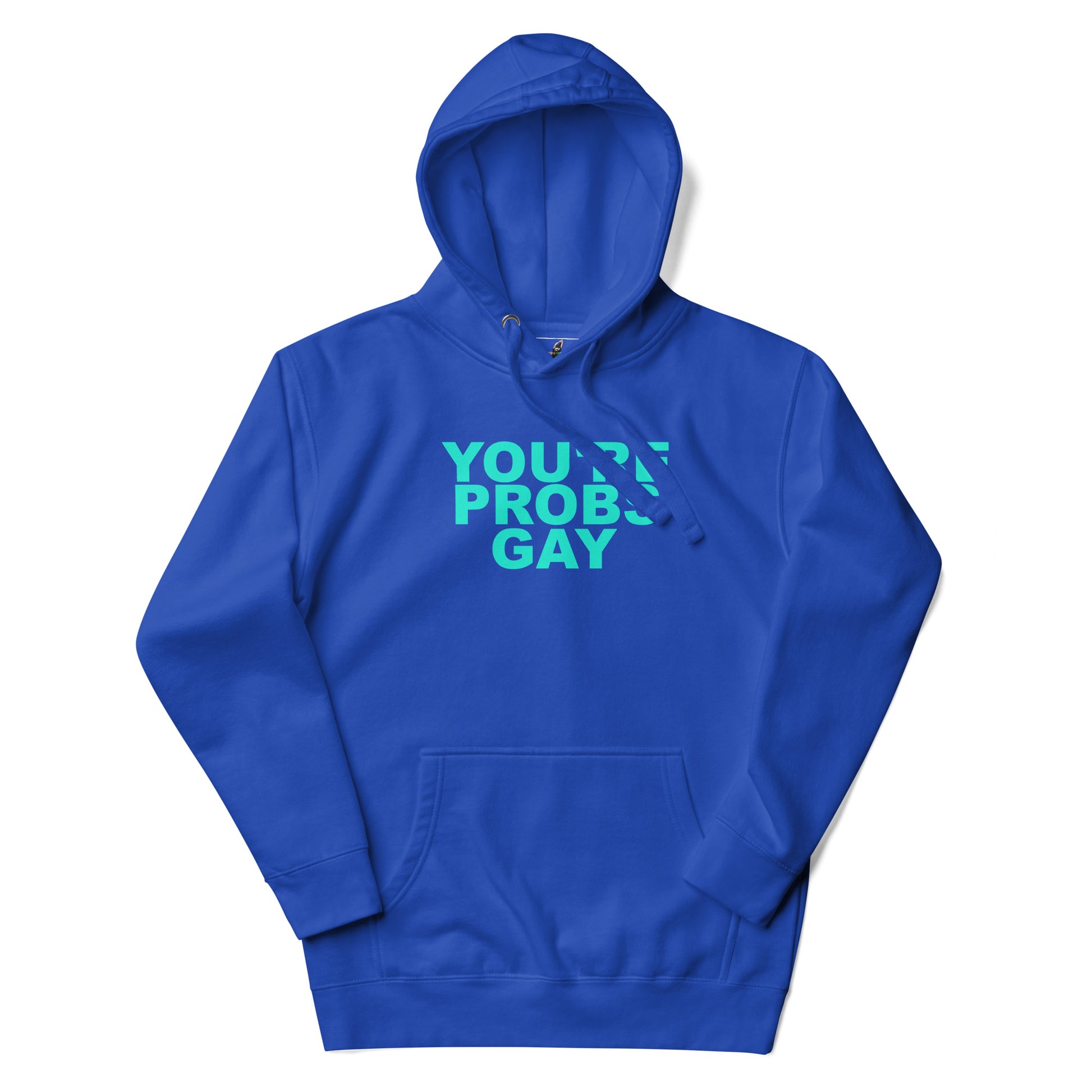 A royal blue pullover hoodie with a front kangaroo pocket and drawstring hood, featuring the text 'YOU'RE PROBABLY GAY' printed in a bright teal-green font across the chest.