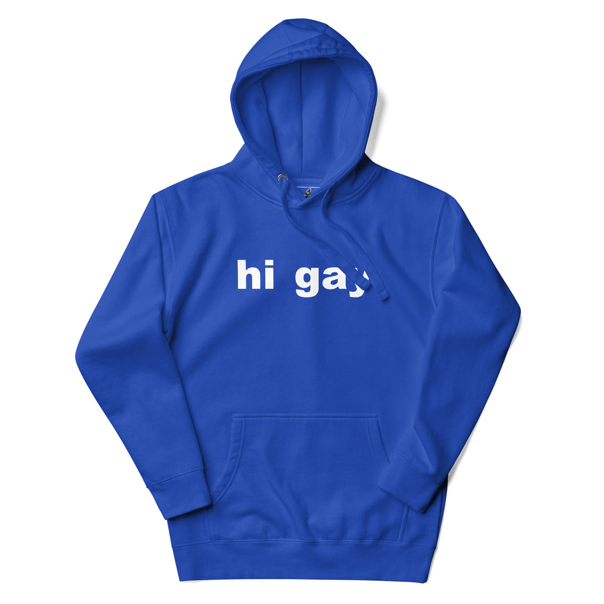 A royal blue pullover hoodie with the text 'hi gay' printed in white across the chest, displayed on a clean white background.