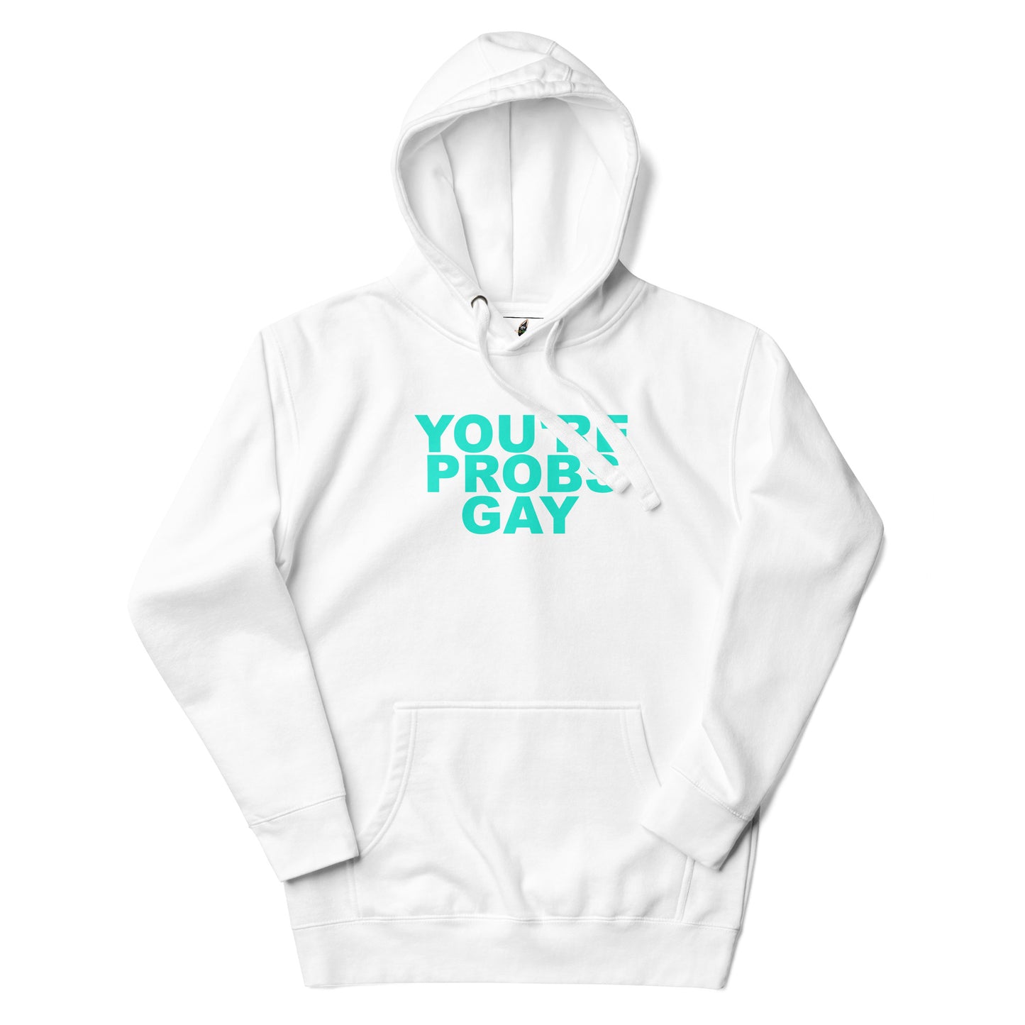 You're Probs Gay Unisex Hoodie