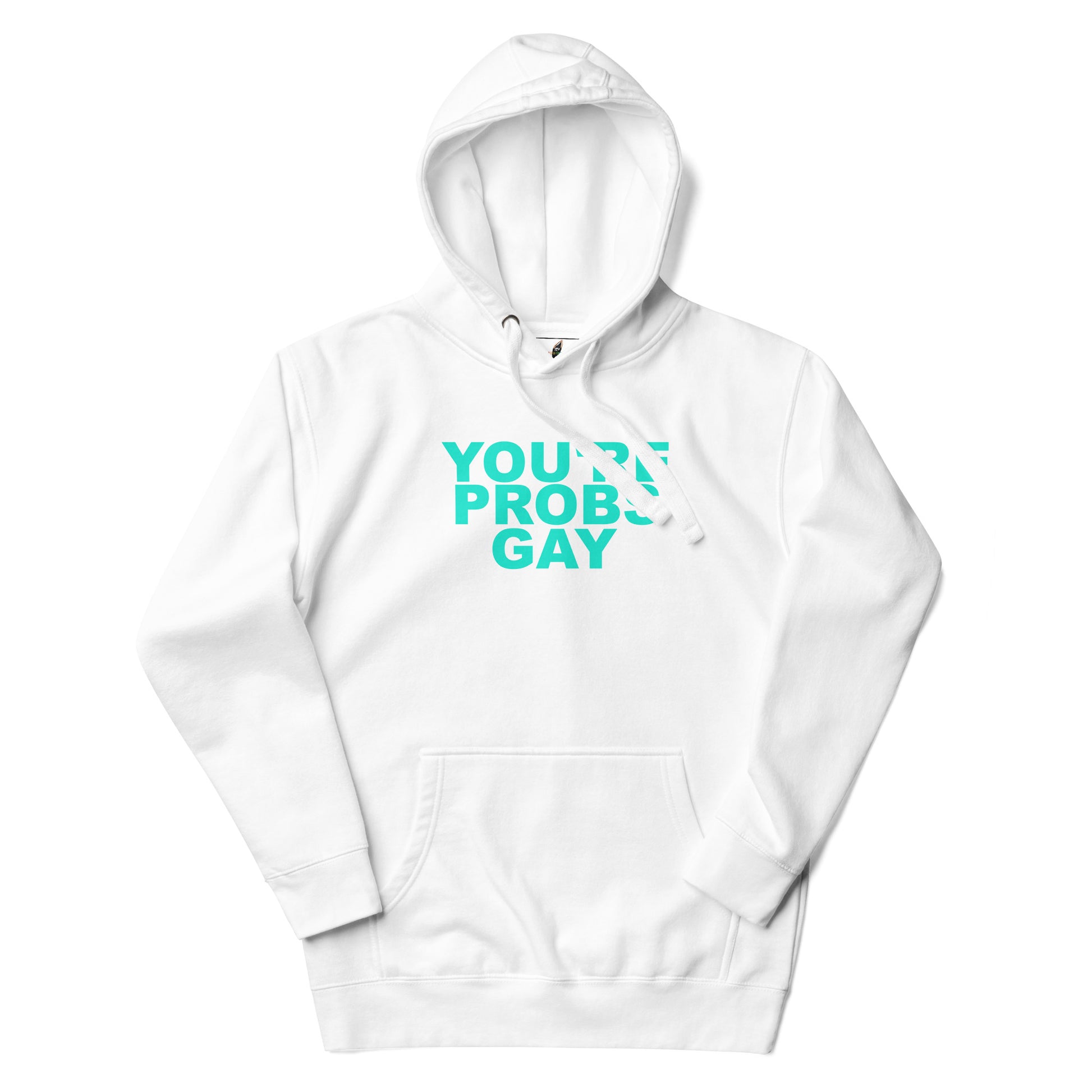 You're Probs Gay Unisex Hoodie