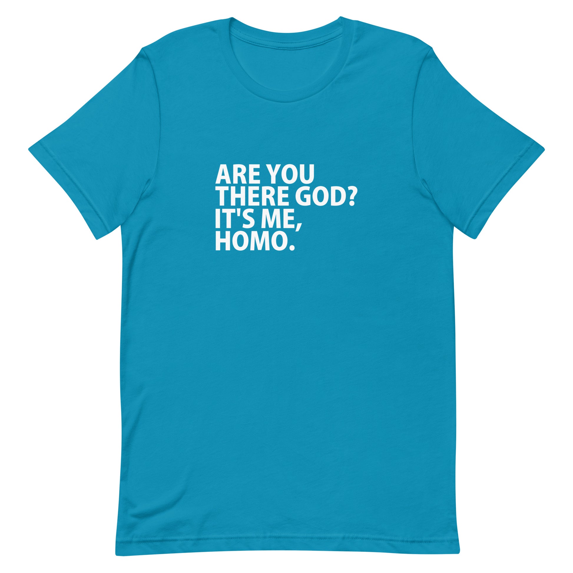 Are You There God? It's Me, HOMO T-Shirt - Aqua