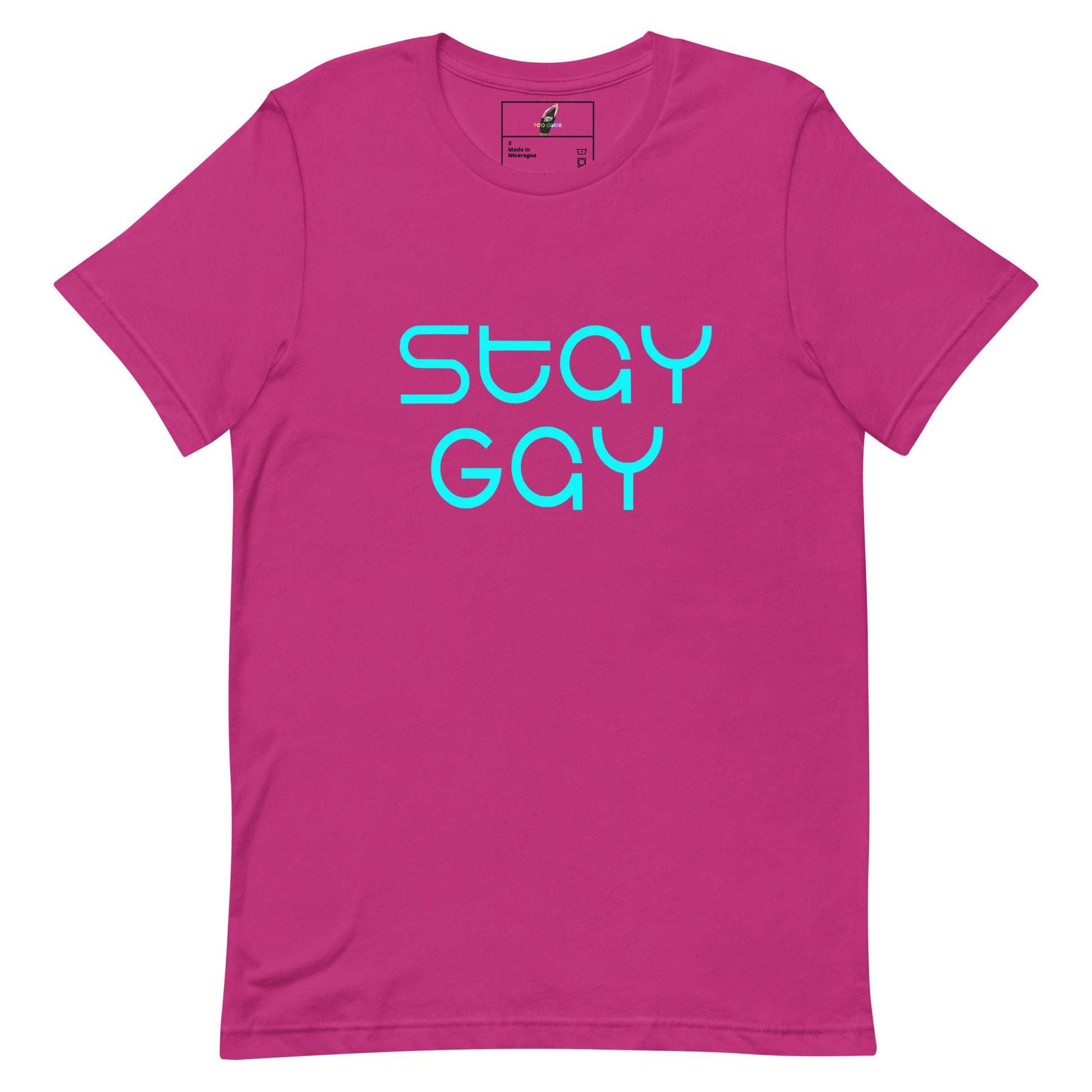 A bright pink short-sleeve t-shirt with the words 'stay GAY' printed in a bold, stylized light blue font across the chest, displayed on a clean white background.