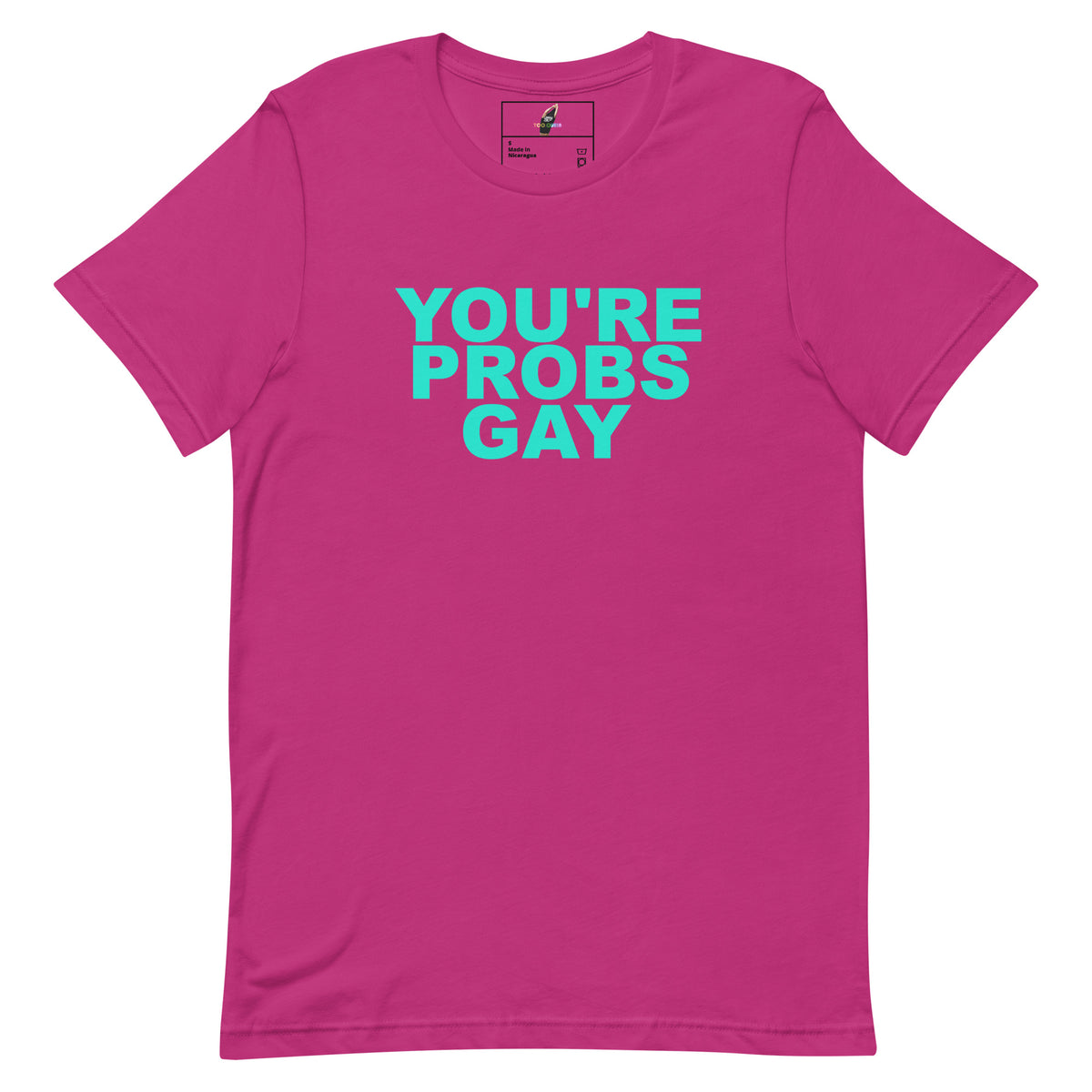 A bright pink short-sleeve t-shirt with the text 'YOU'RE PROBS GAY' printed in a bold turquoise font across the chest, displayed on a clean white background.