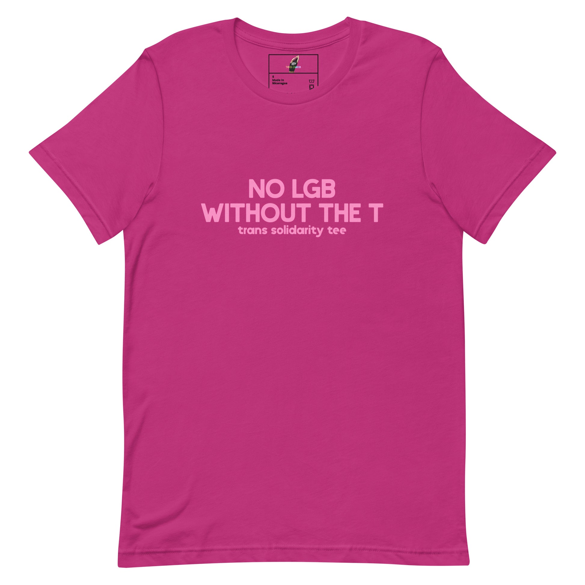 A bright pink short-sleeve t-shirt with light pink text on the chest reading 'NO LGB WITHOUT THE T' and 'trans solidarity tee' underneath, displayed flat against a solid white background.