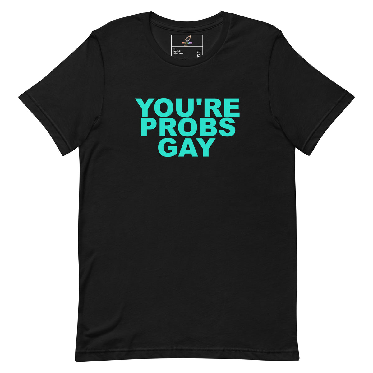 A black short-sleeve crewneck t-shirt with the phrase 'YOU'RE PROBS GAY' printed in a bright teal sans-serif font across the chest, displayed flat against a solid white background.