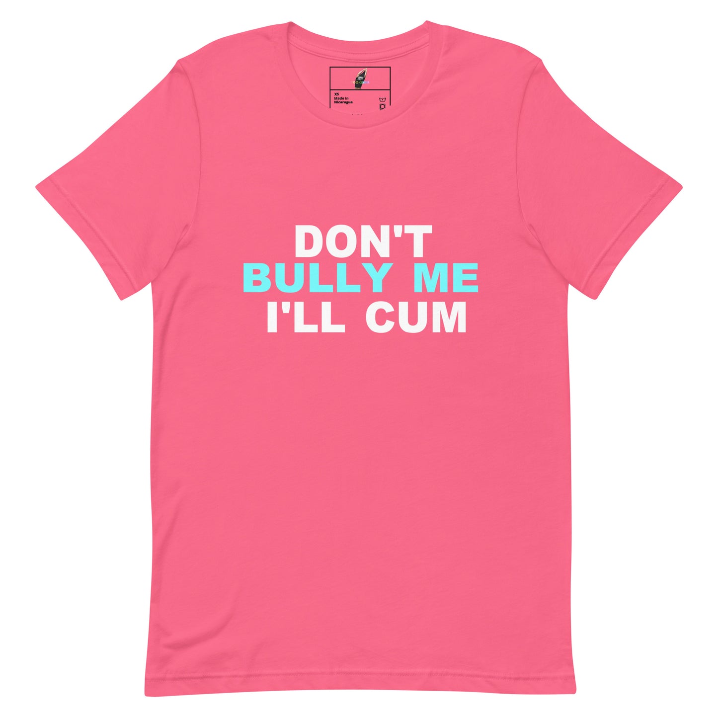 A pink short-sleeve crewneck t-shirt with the text 'DON'T BULLY ME I'LL CUM' printed on the chest in white and light blue, displayed on a clean white background.