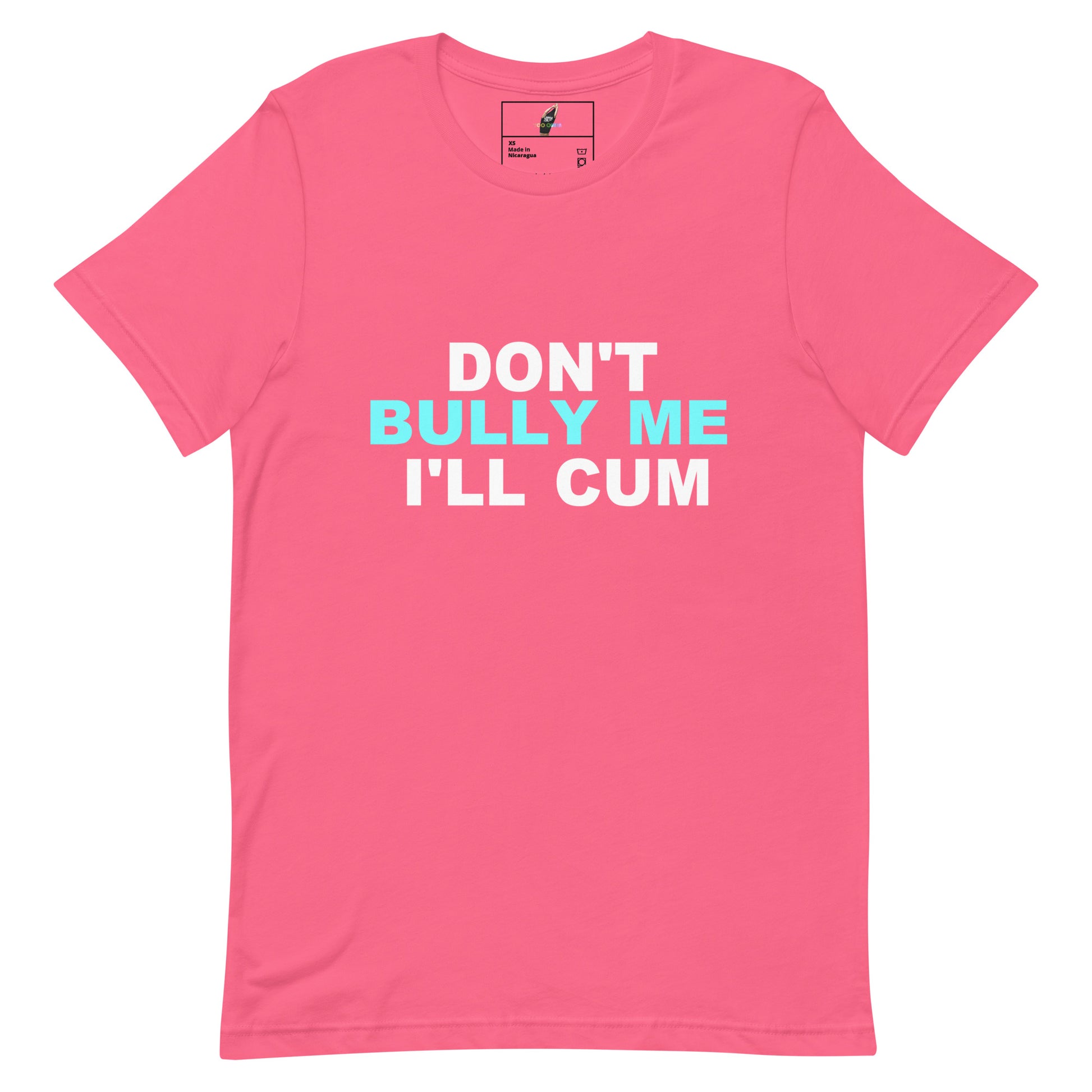 A pink short-sleeve crewneck t-shirt with the text 'DON'T BULLY ME I'LL CUM' printed on the chest in white and light blue, displayed on a clean white background.