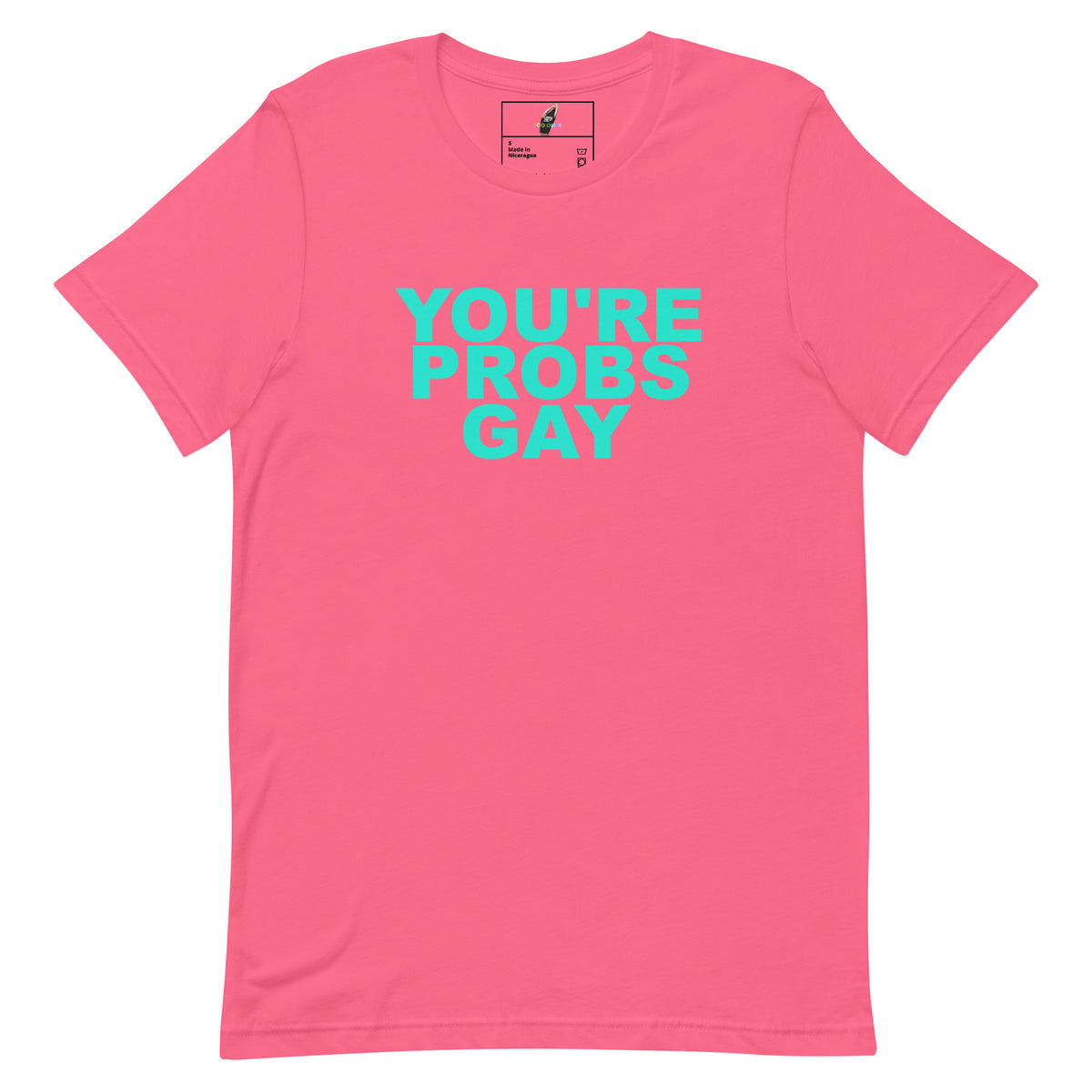 A pink short-sleeve crewneck t-shirt with the phrase 'YOU'RE PROBS GAY' printed in a bright turquoise font across the chest, displayed flat against a solid white background.
