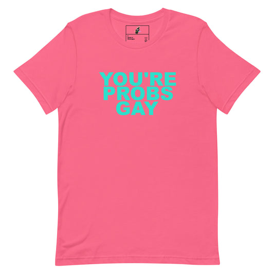 A pink short-sleeve crewneck t-shirt with the phrase 'YOU'RE PROBS GAY' printed in a bright turquoise font across the chest, displayed flat against a solid white background.