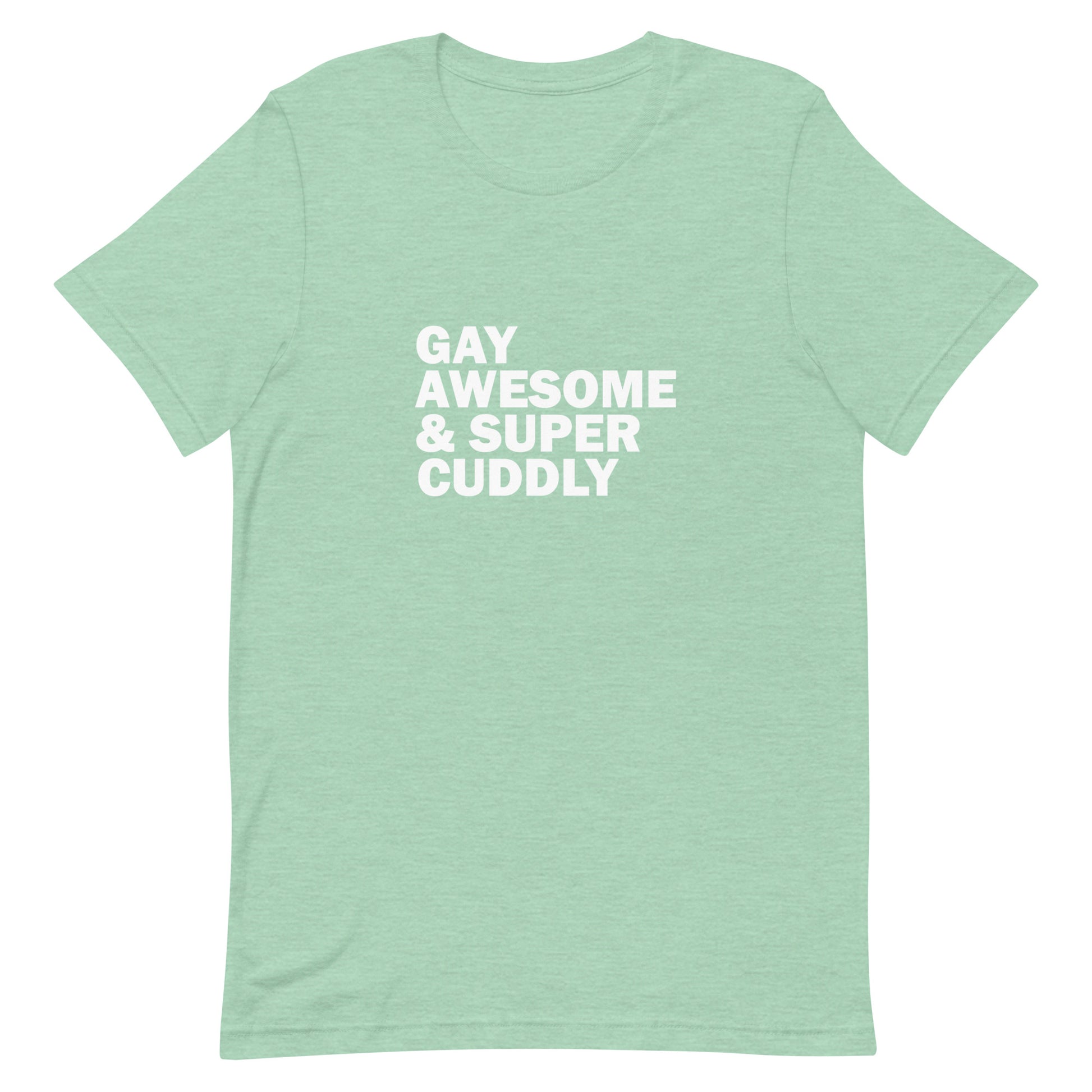 Gay Awesome & Super Cuddly T-Shirt - Heather Prism Mint