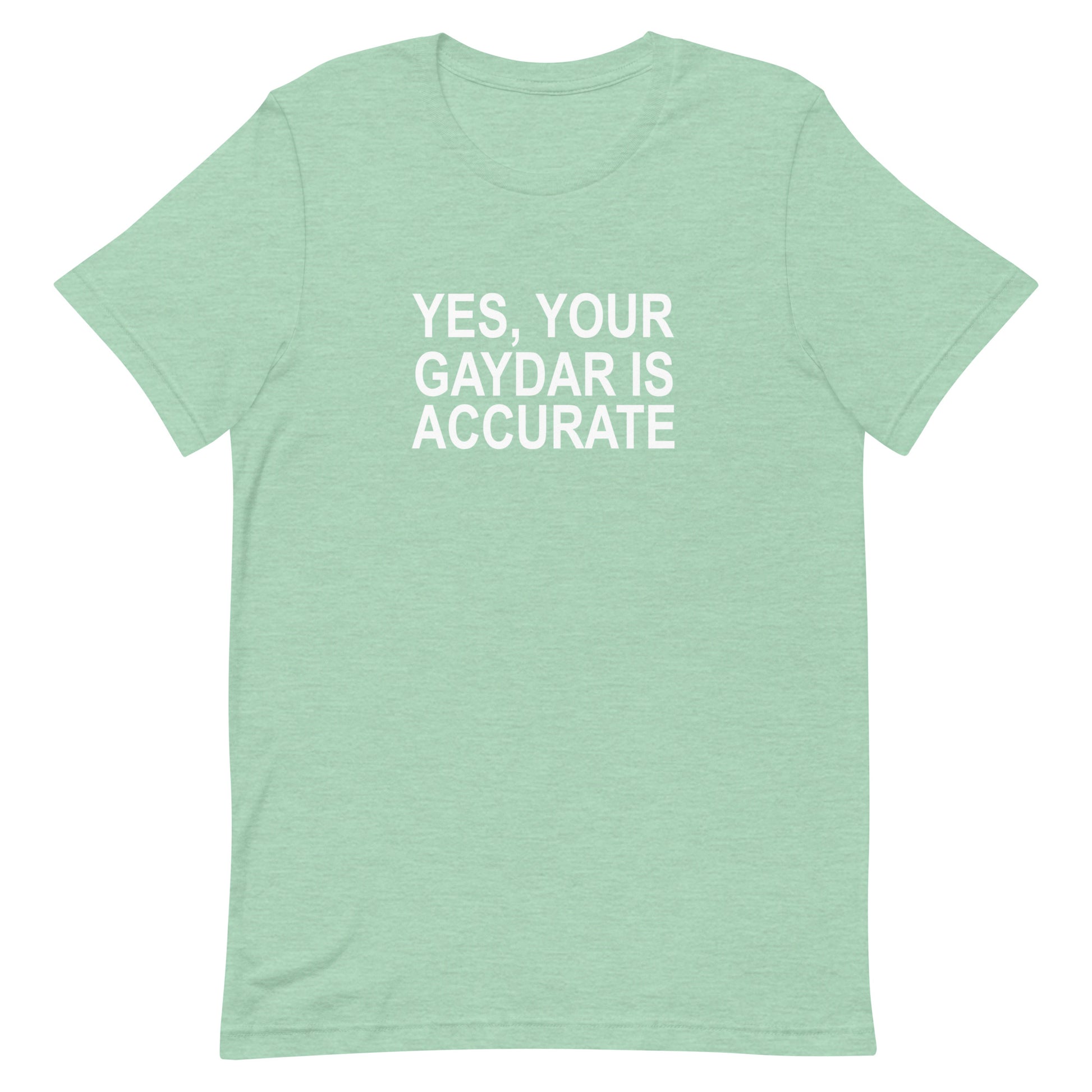 Yes, Your GAYDAR Is Accurate T Shirt - Heather Prism Mint