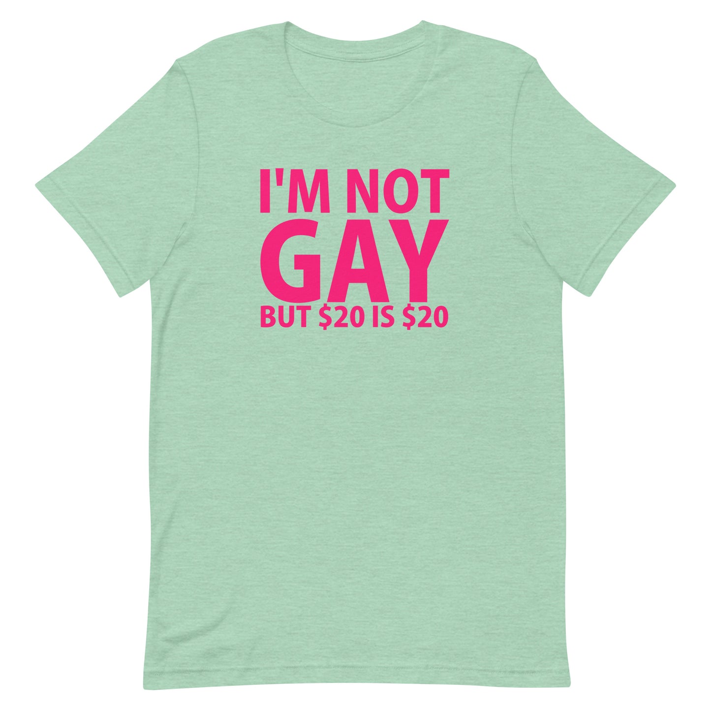 I'm Not Gay But $20 is $20 T-Shirt - Heather Prism Mint