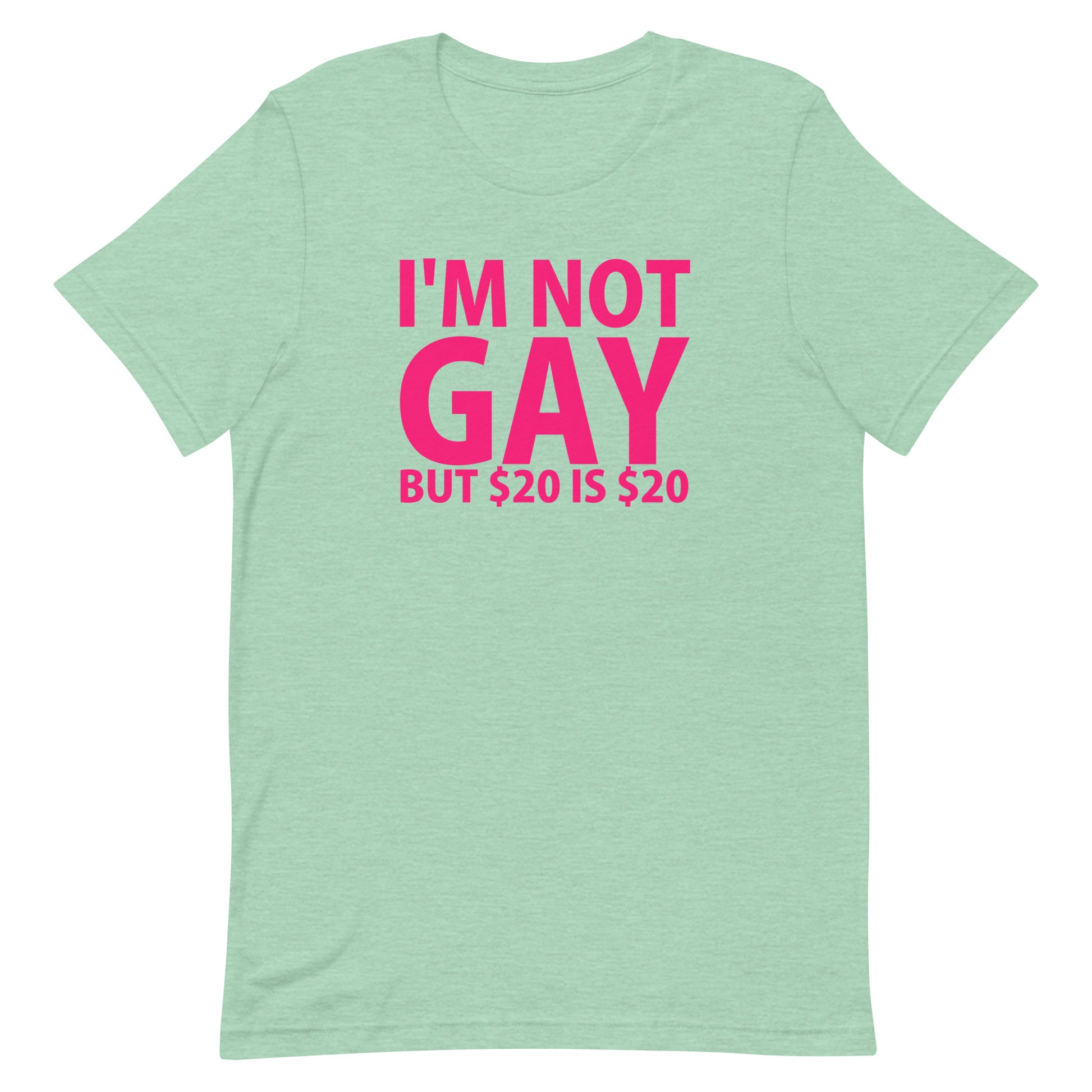 I'm Not Gay But $20 is $20 T-Shirt - Heather Prism Mint