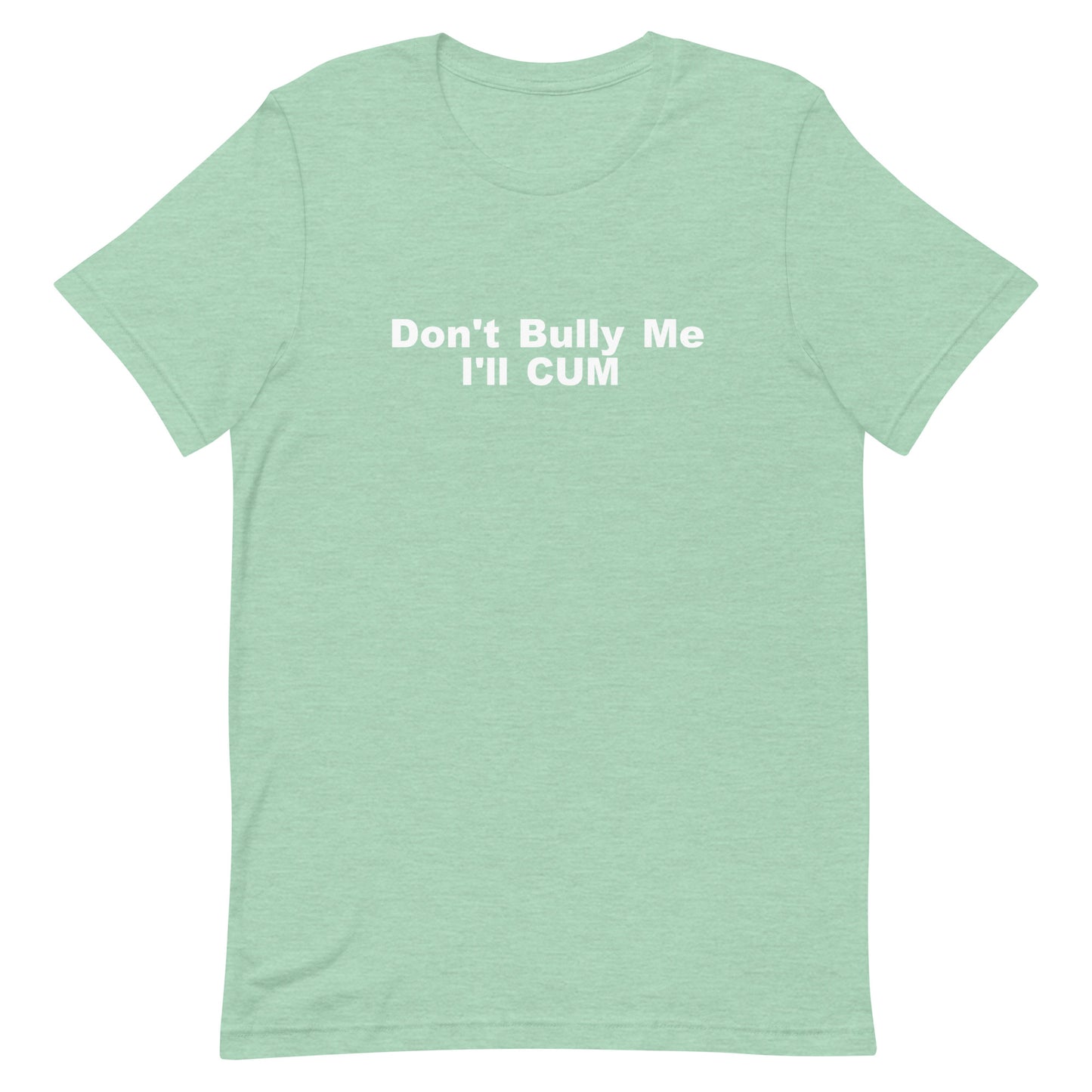 Don't Bully Me I'll Cum T Shirt - Heather Prism Mint