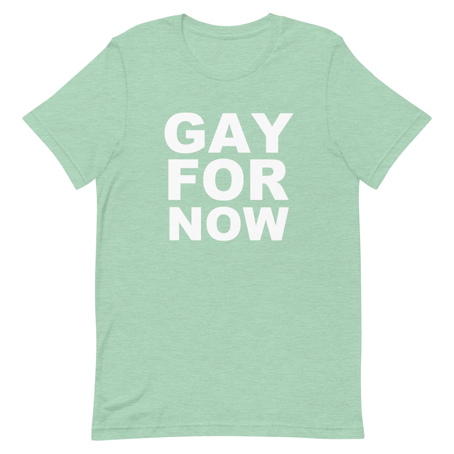 Gay For Now T Shirt - Heather Prism Mint