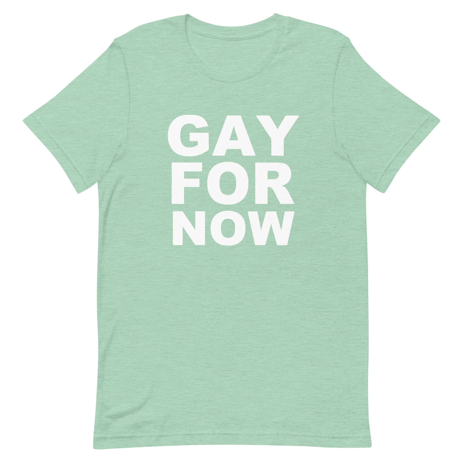 Gay For Now T Shirt - Heather Prism Mint