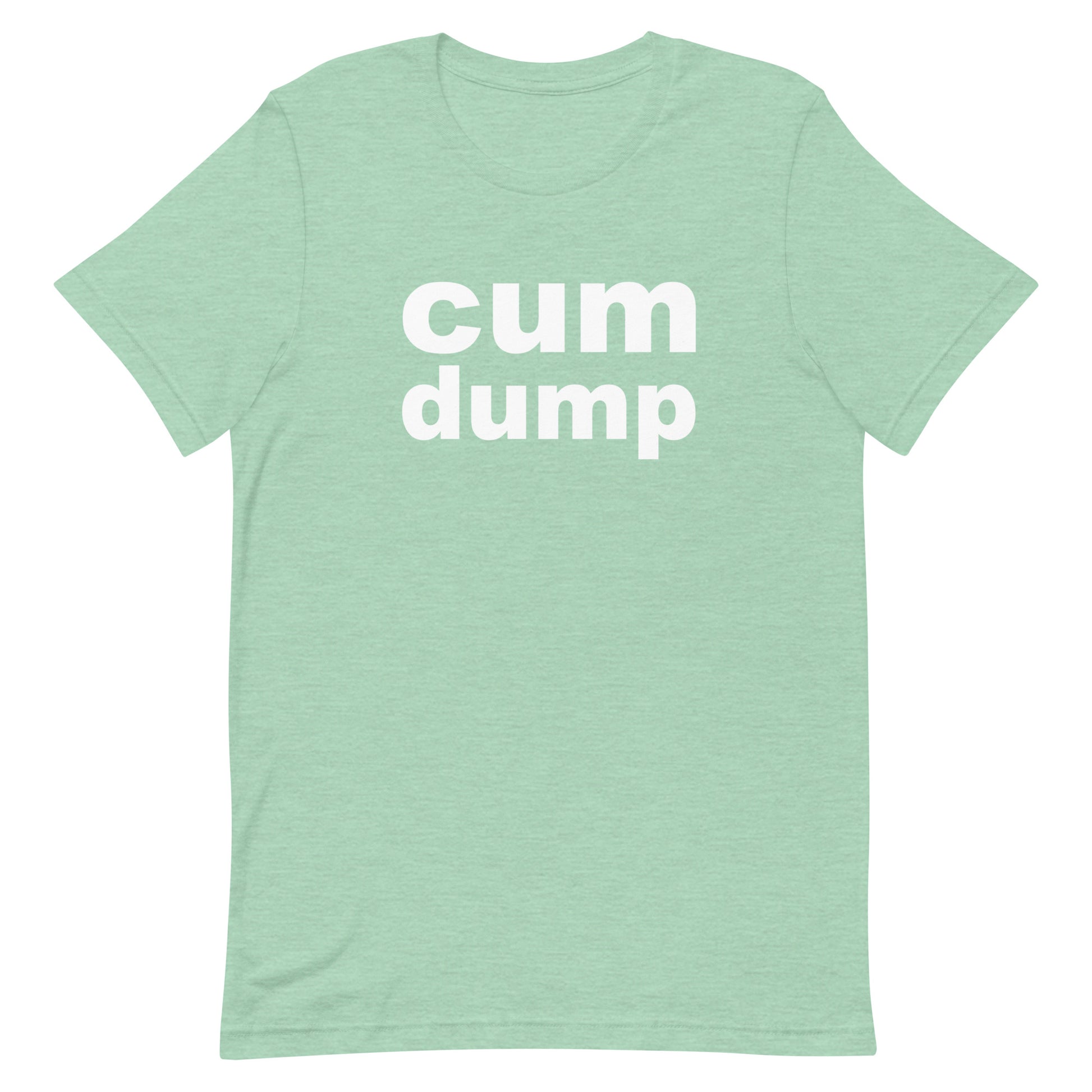 Cum Dump T Shirt - Heather Prism Mint