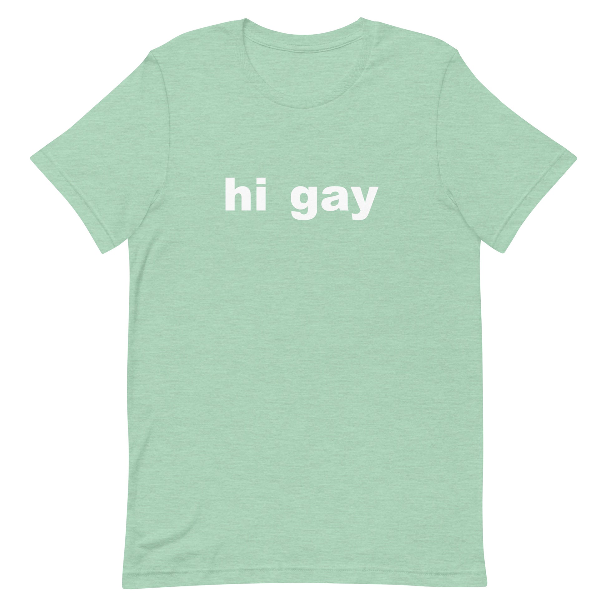 Hi Gay T Shirt - Heather Prism Mint