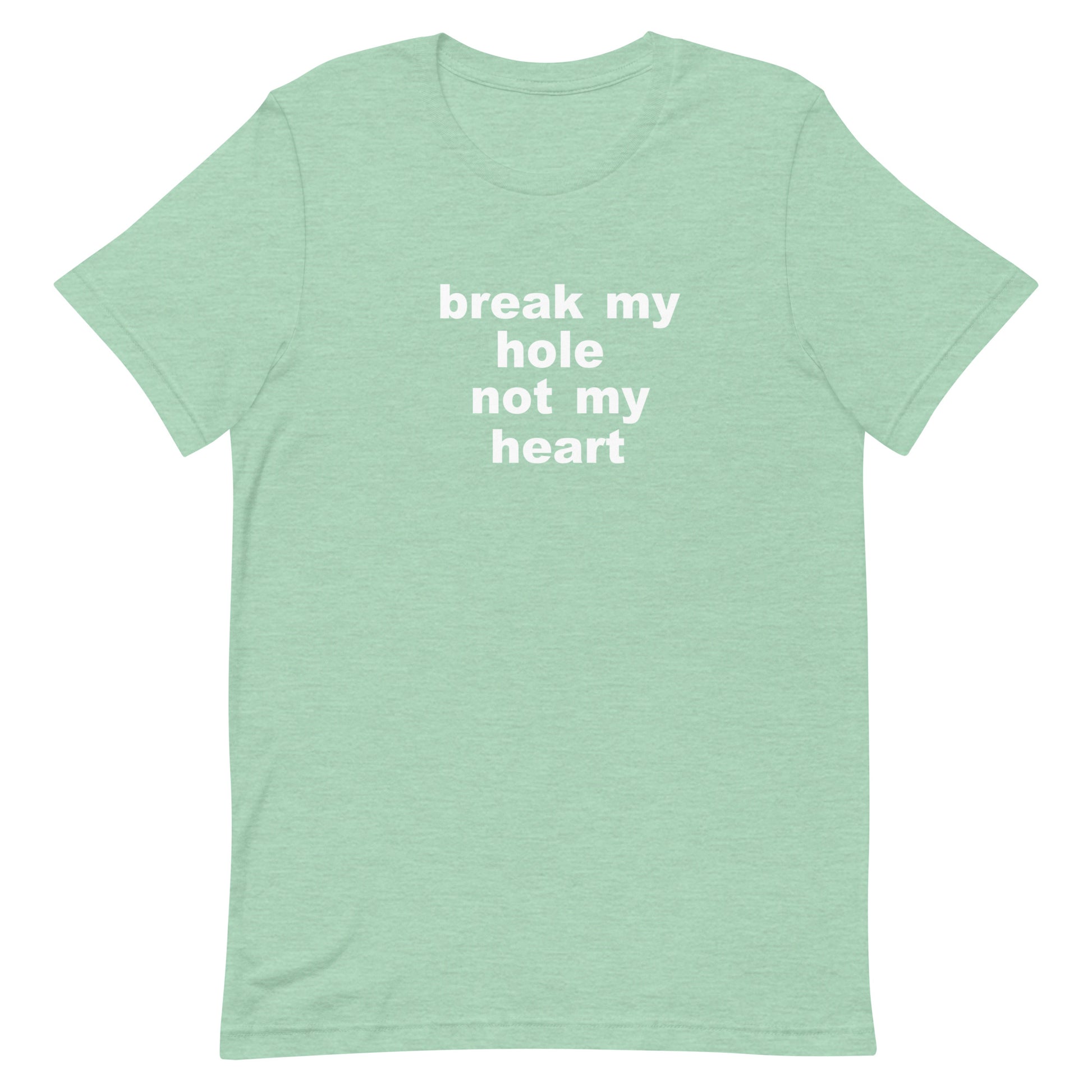 Break My Hole T Shirt - Heather Prism Mint