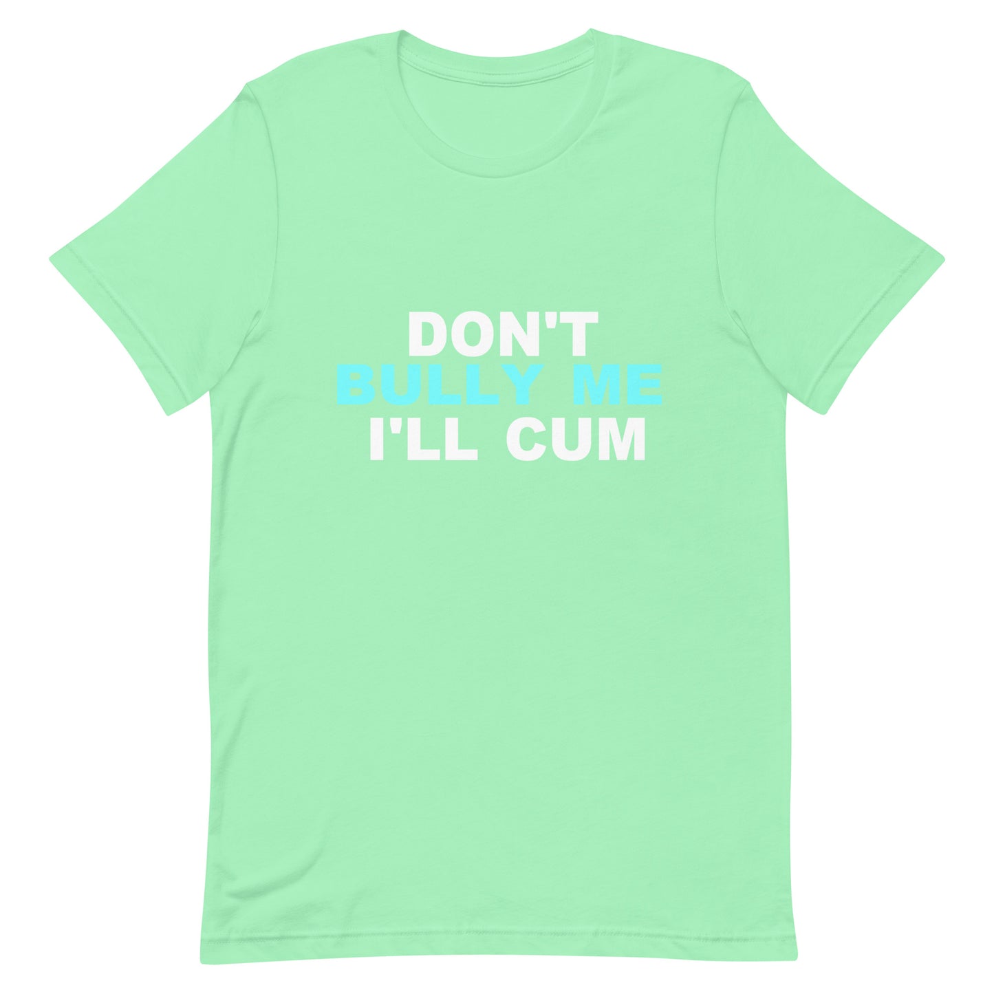 A mint green short-sleeve t-shirt with the text 'DON'T BULLY ME I'LL CUM' printed on the chest in white and light blue, displayed on a solid white background.