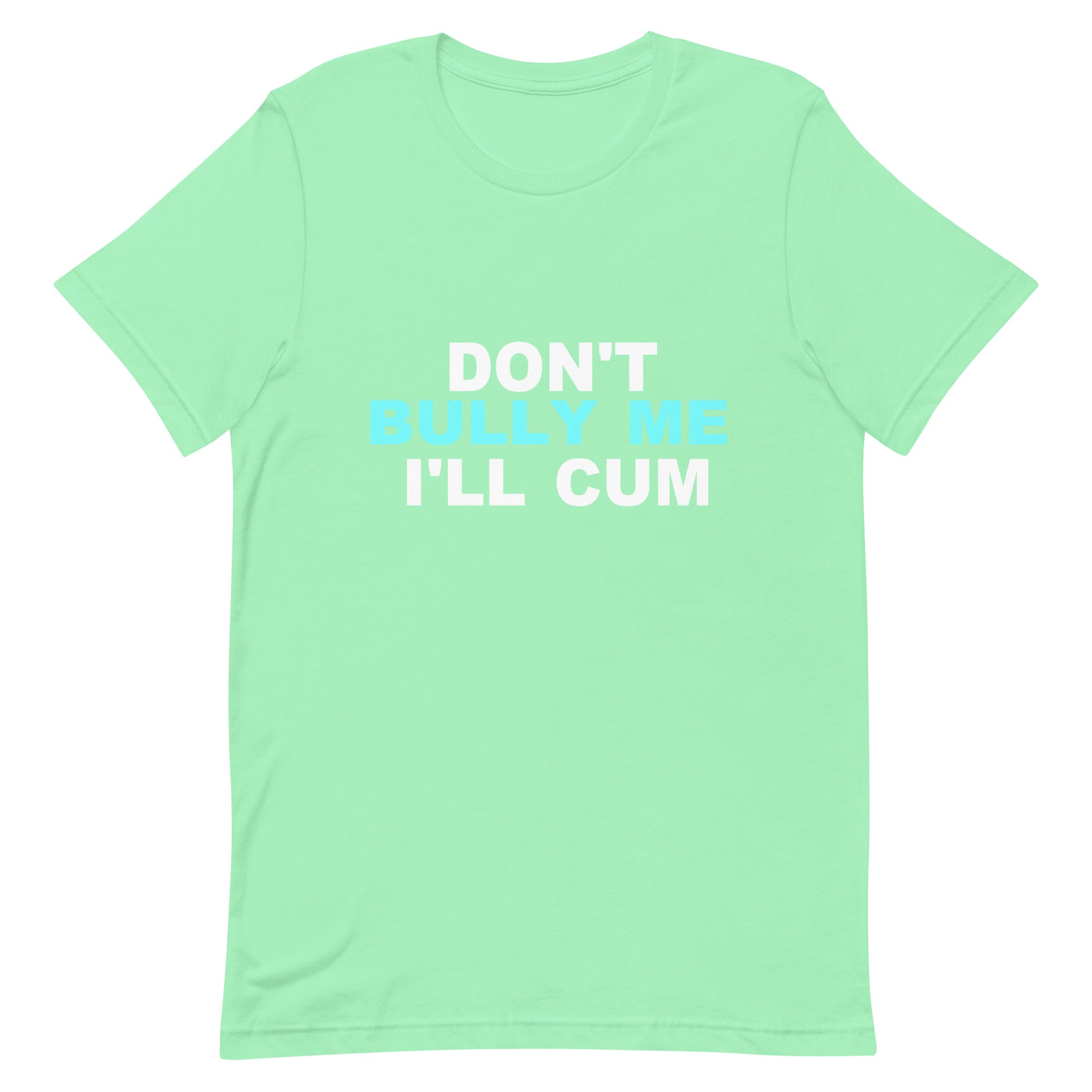 A mint green short-sleeve t-shirt with the text 'DON'T BULLY ME I'LL CUM' printed on the chest in white and light blue, displayed on a solid white background.