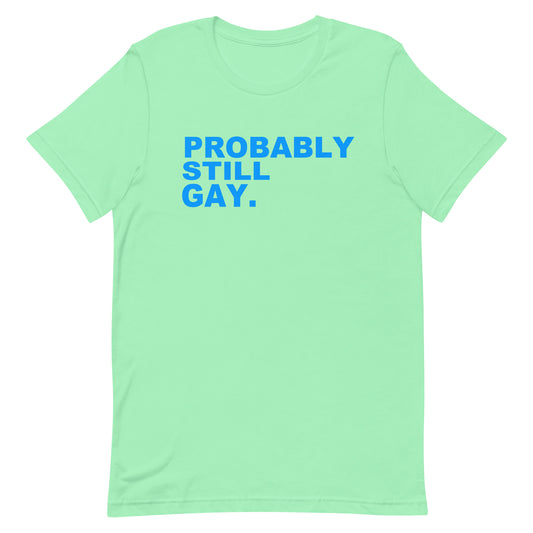 A mint green short-sleeve t-shirt with the text 'PROBABLY STILL GAY.' printed in blue block letters across the chest, displayed on a solid white background.