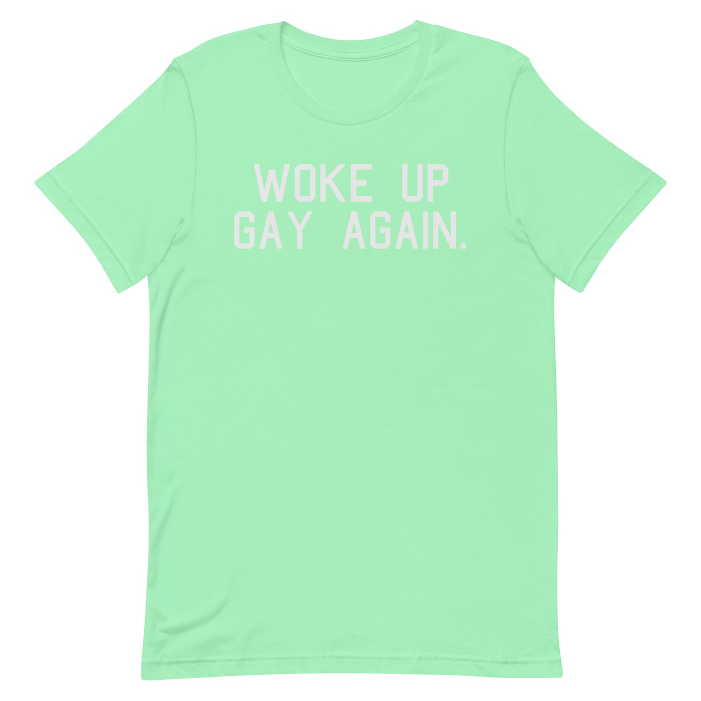 A mint green short-sleeve t-shirt with the phrase 'WOKE UP GAY AGAIN.' printed in white block letters across the chest, displayed on a solid white background.